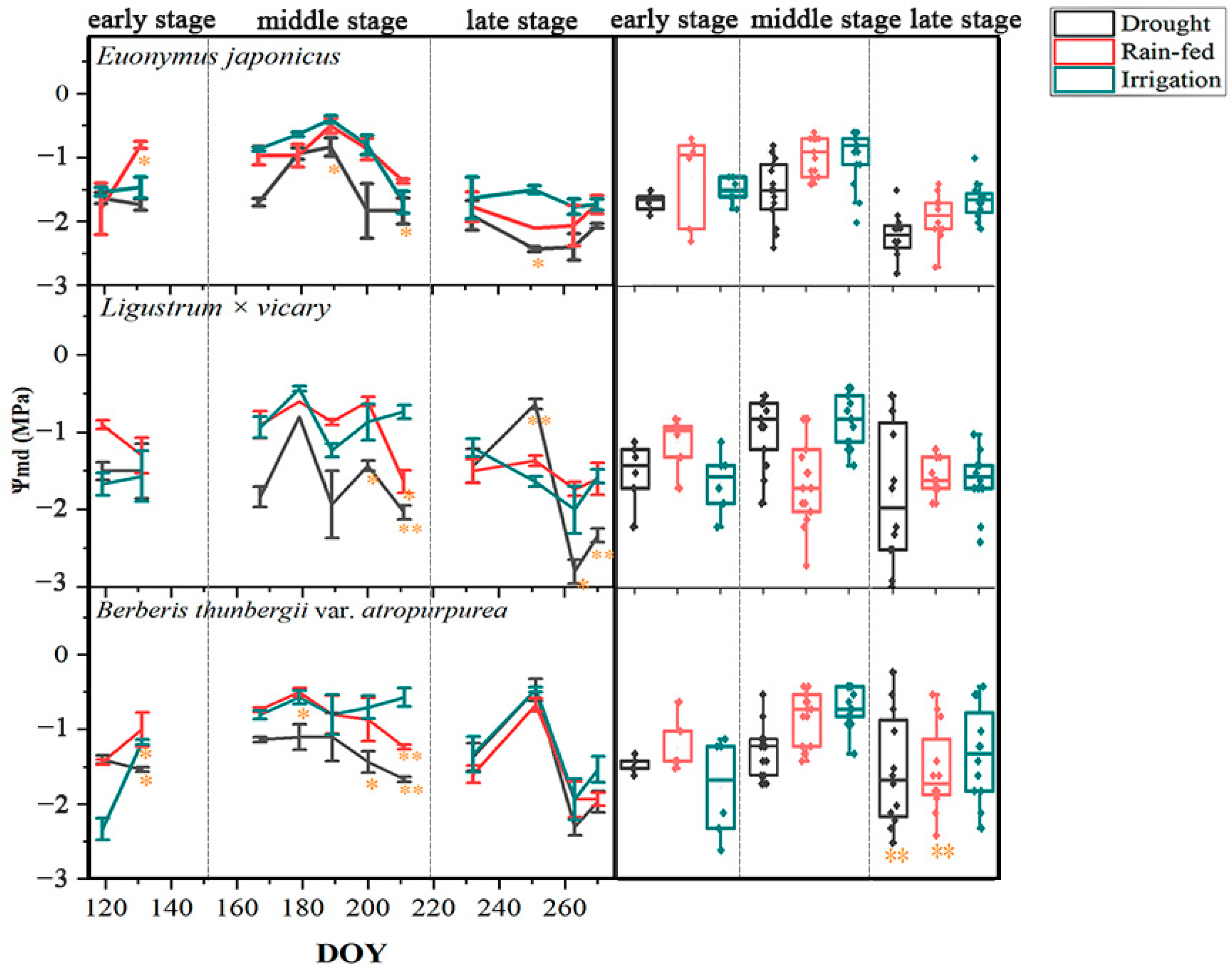 Agronomy 14 01772 g003