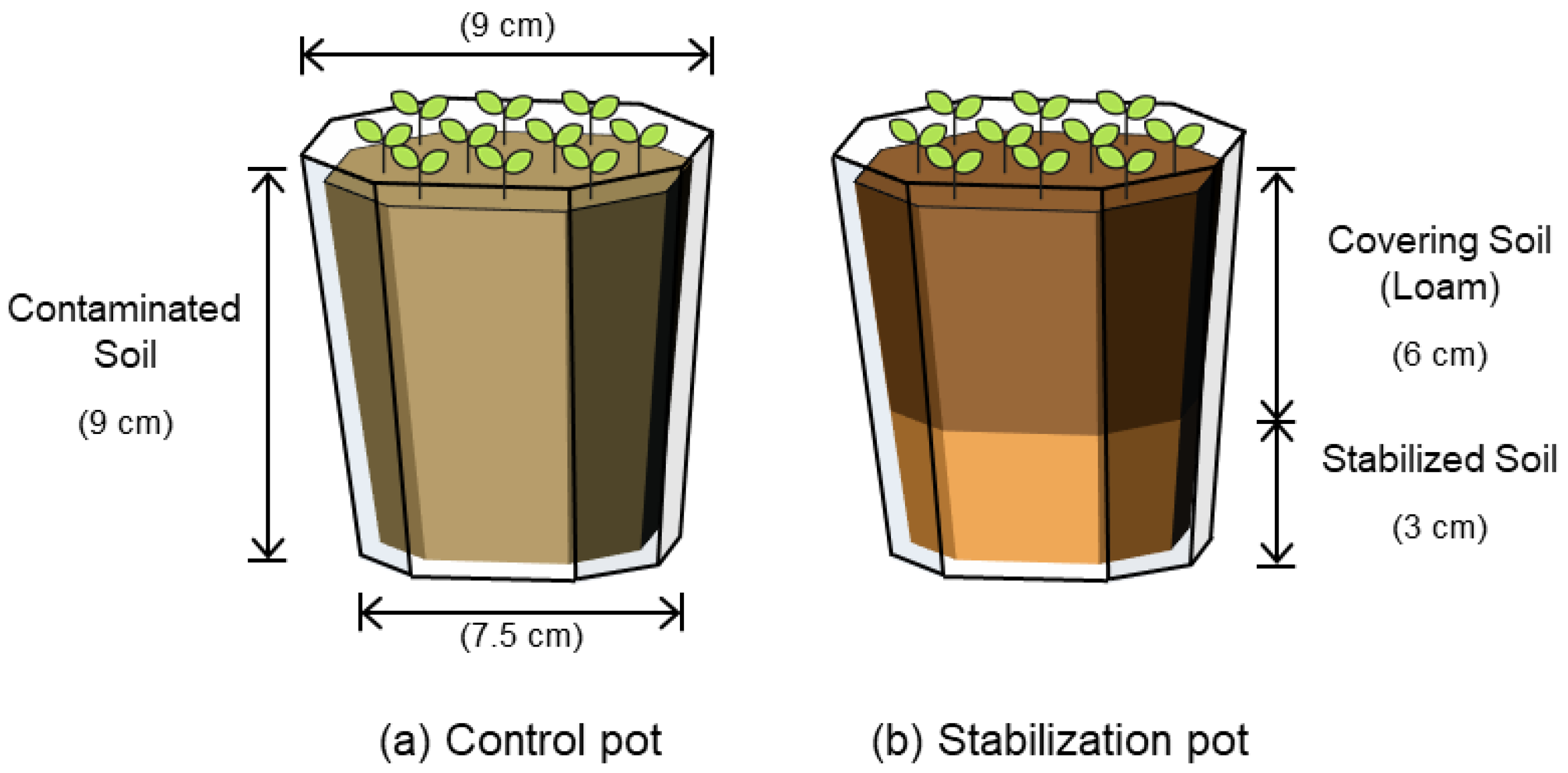 Agronomy 14 01781 g001 Agronomy 14 01781 g001