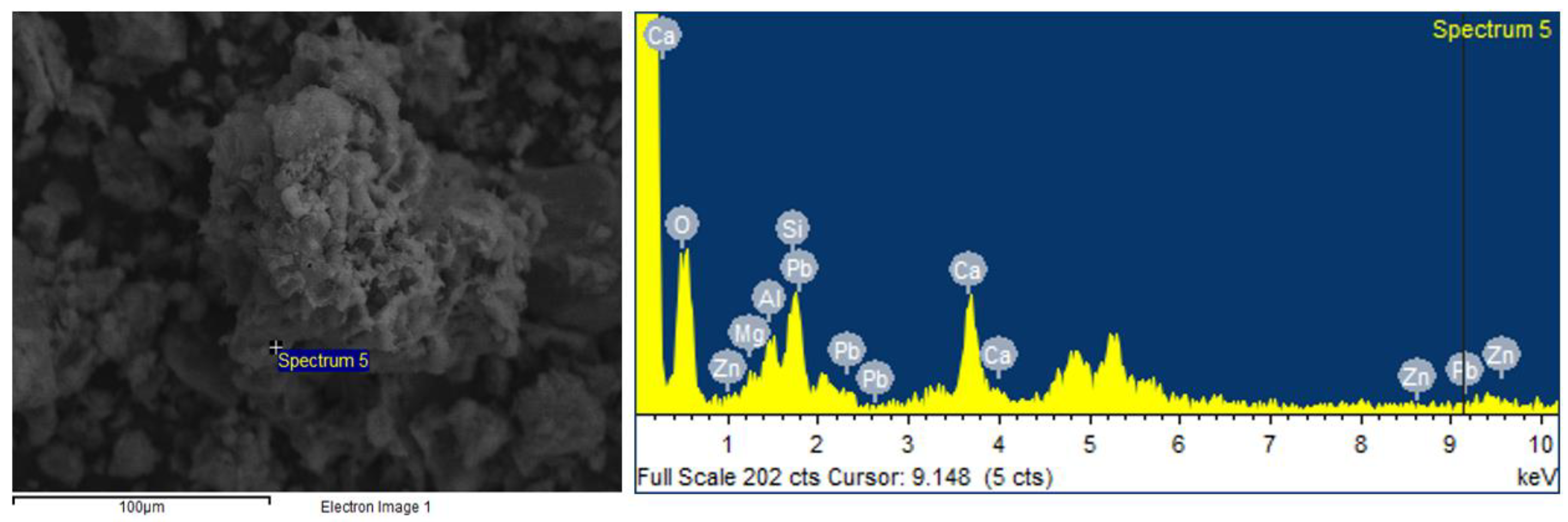 Agronomy 14 01781 g013 Agronomy 14 01781 g013