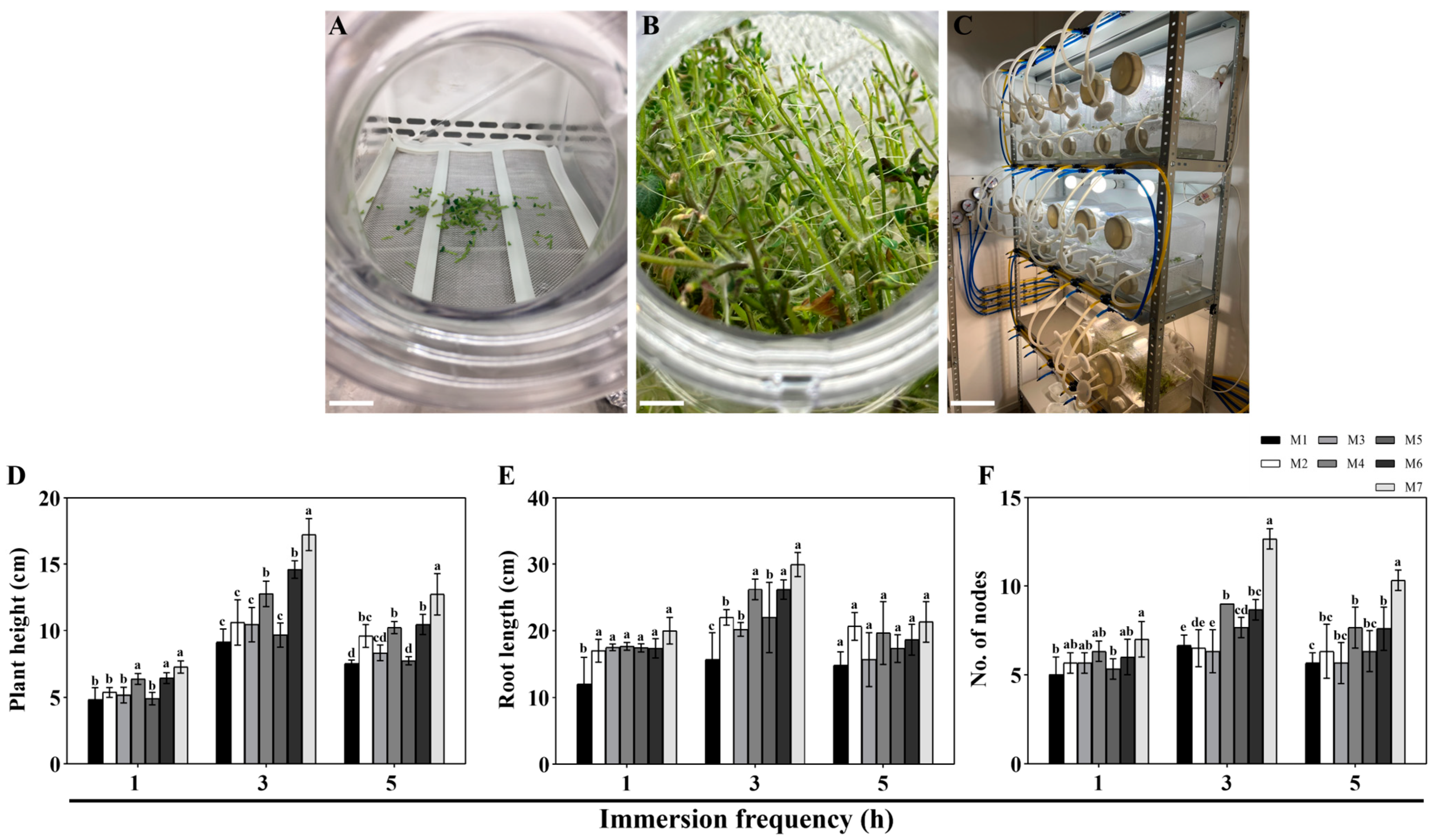 Agronomy 14 01782 g002
