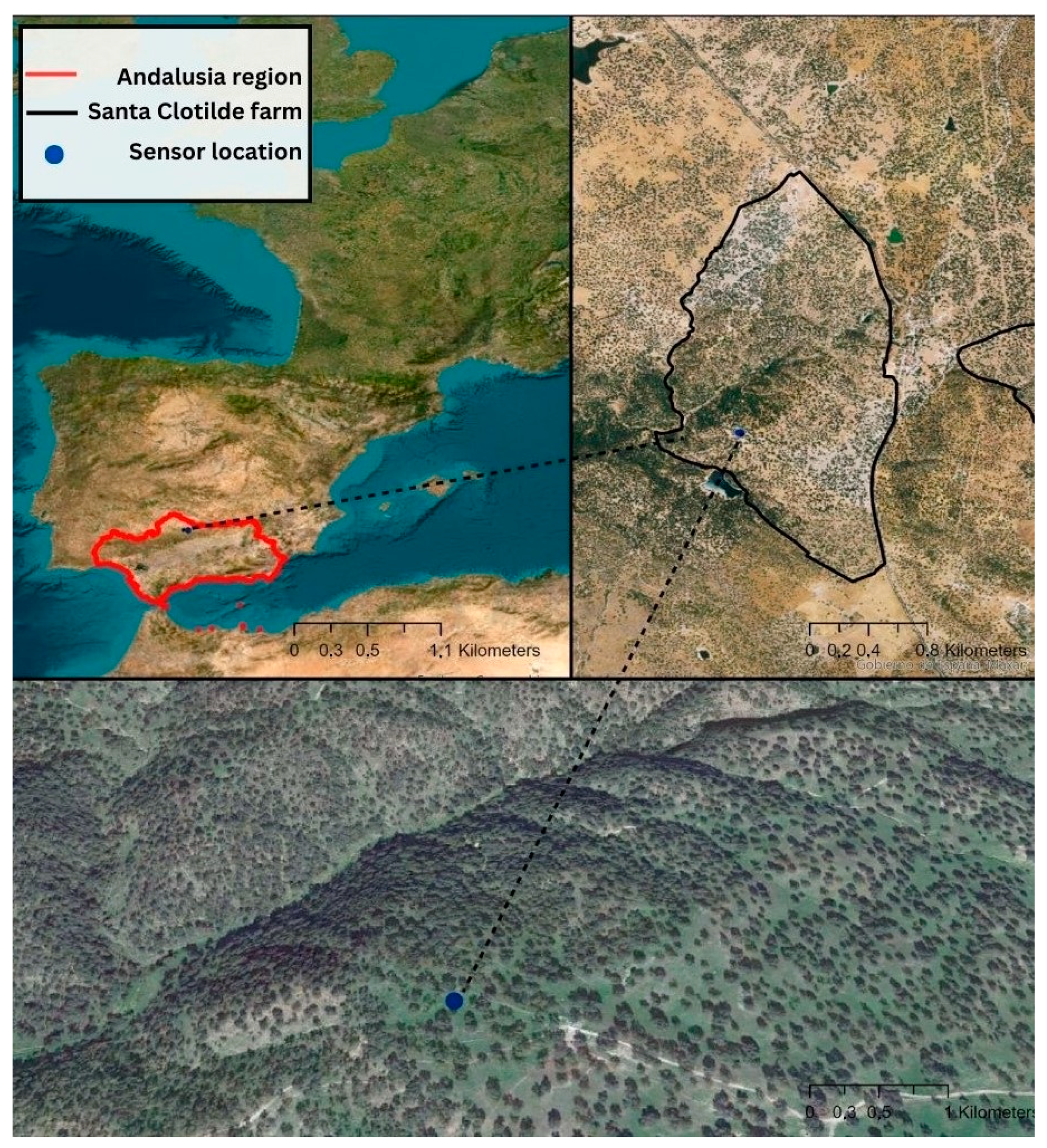 Agronomy 14 01798 g001