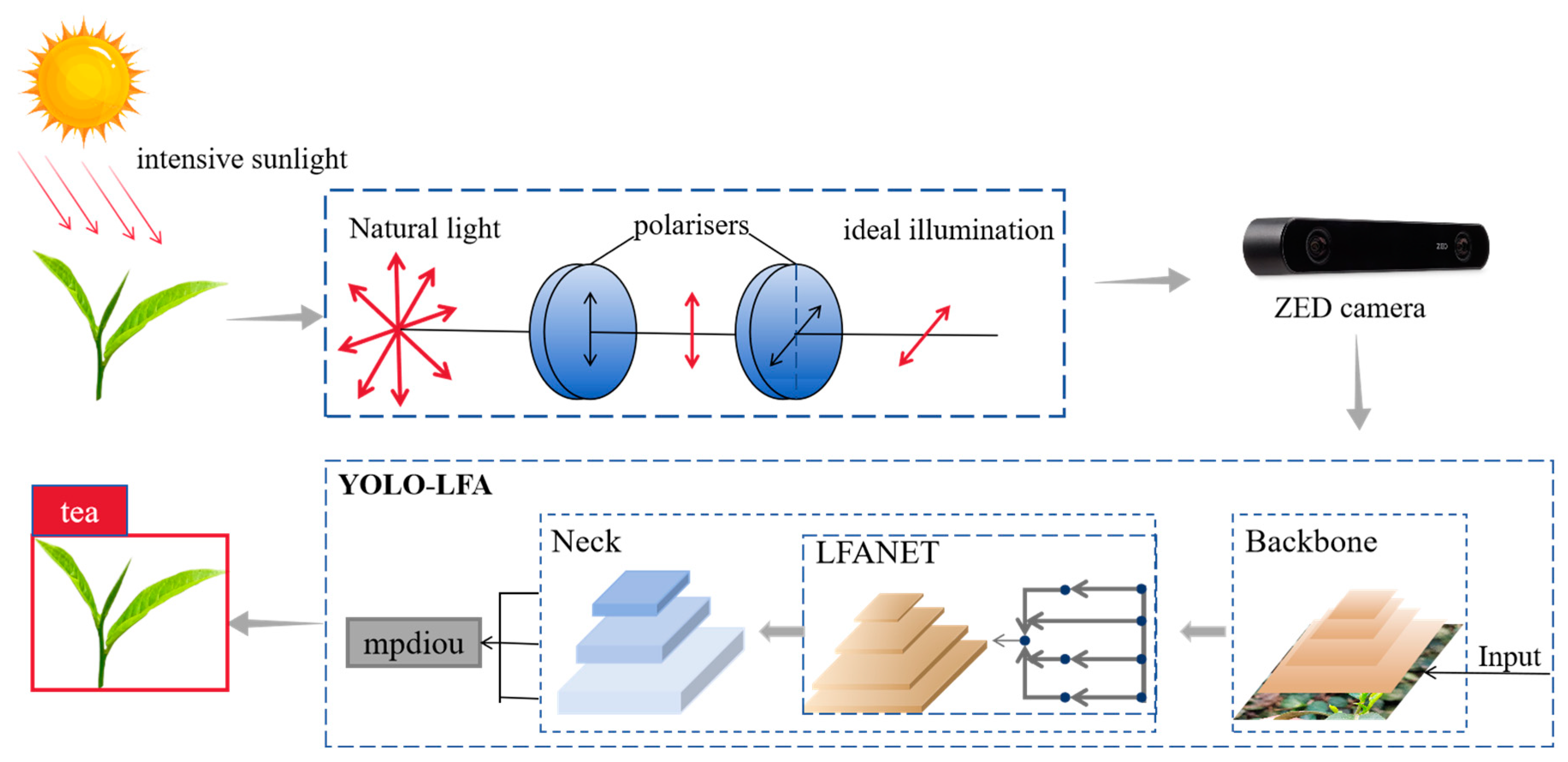 Agronomy 14 01800 g001