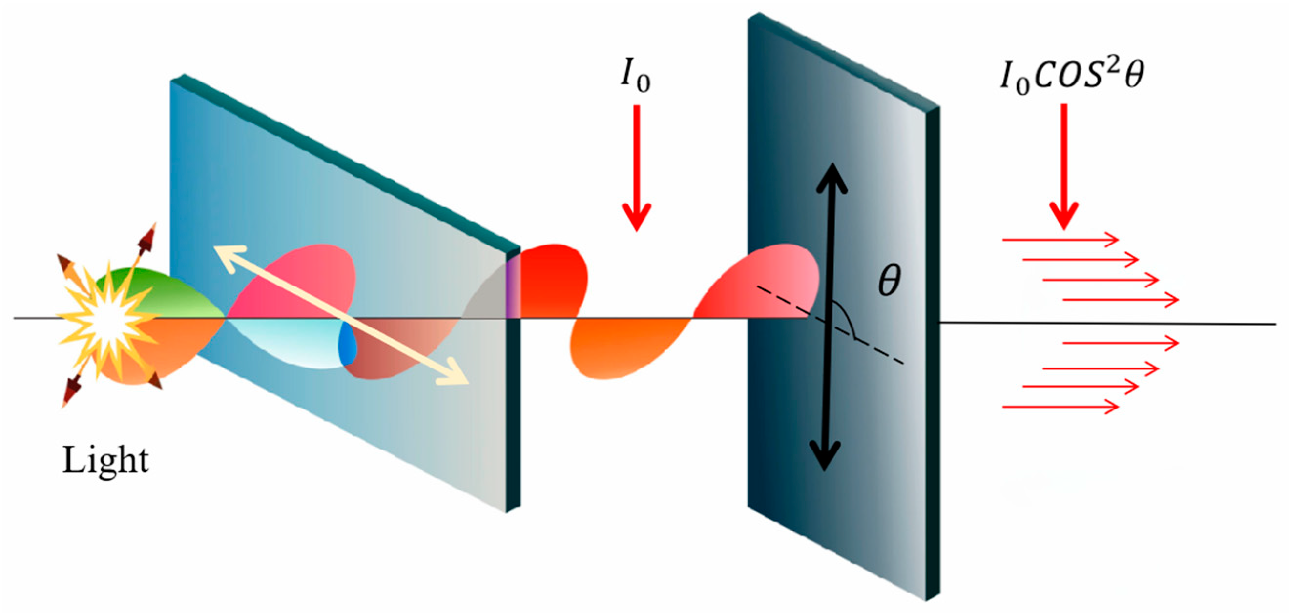 Agronomy 14 01800 g002