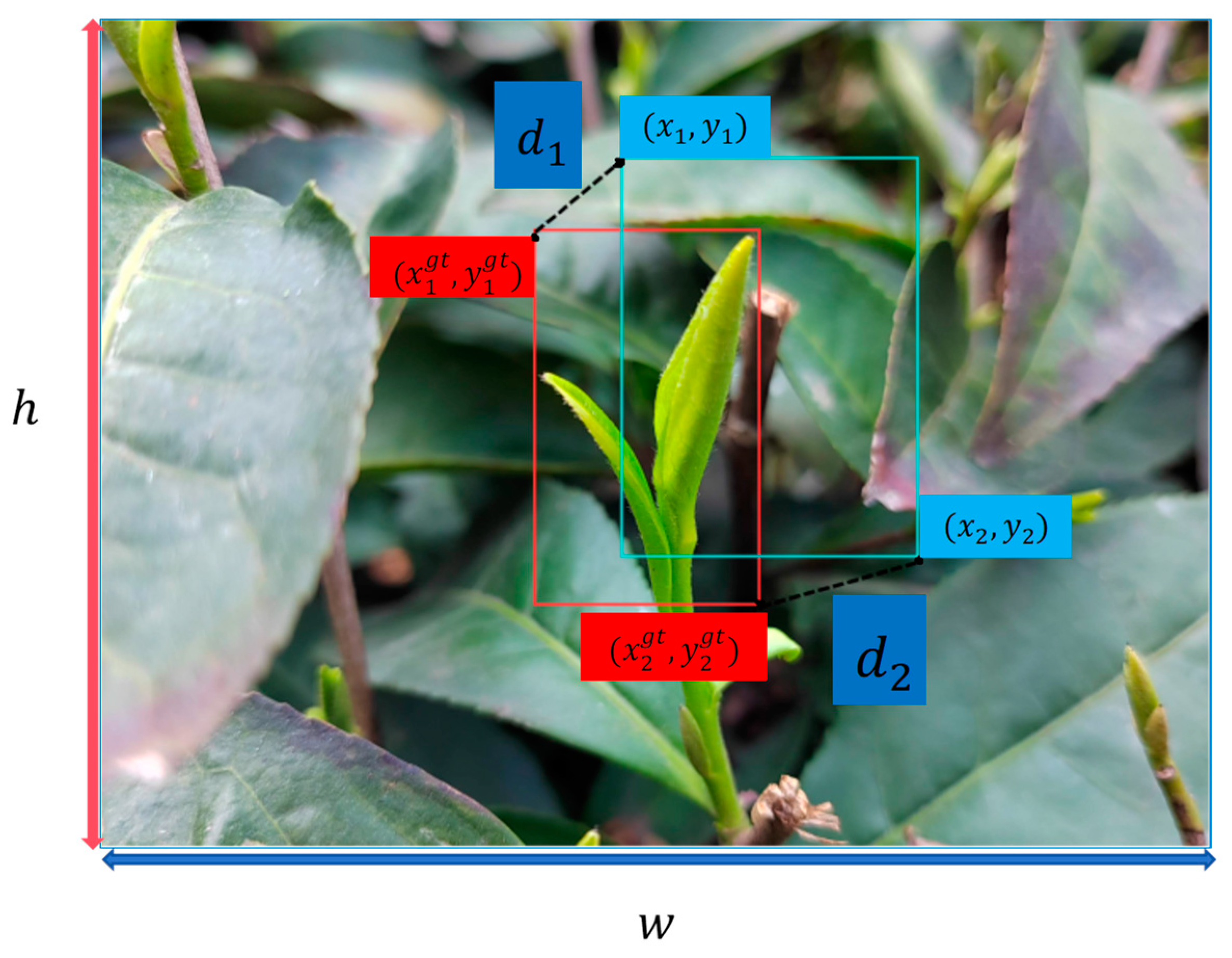 Agronomy 14 01800 g004