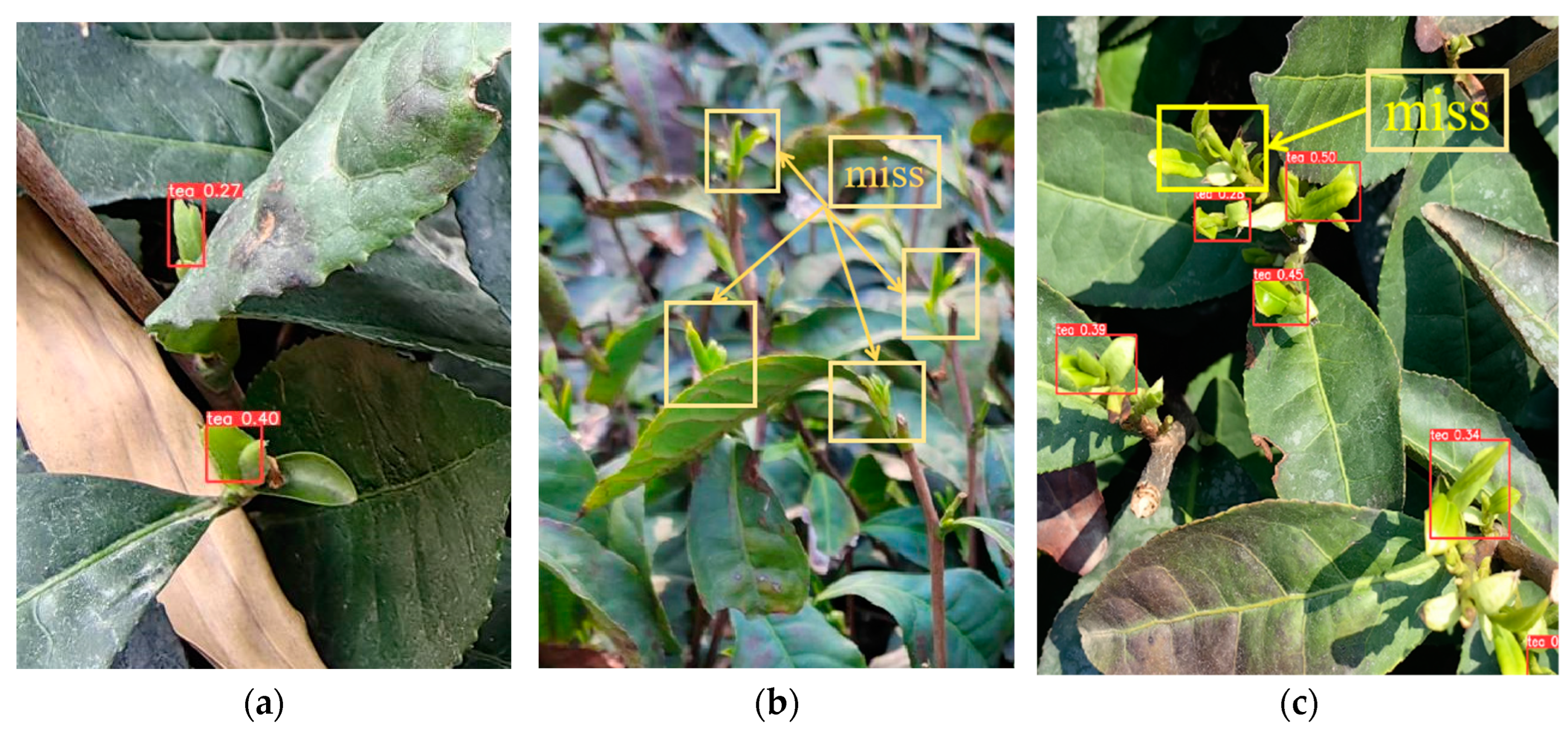 Agronomy 14 01800 g009