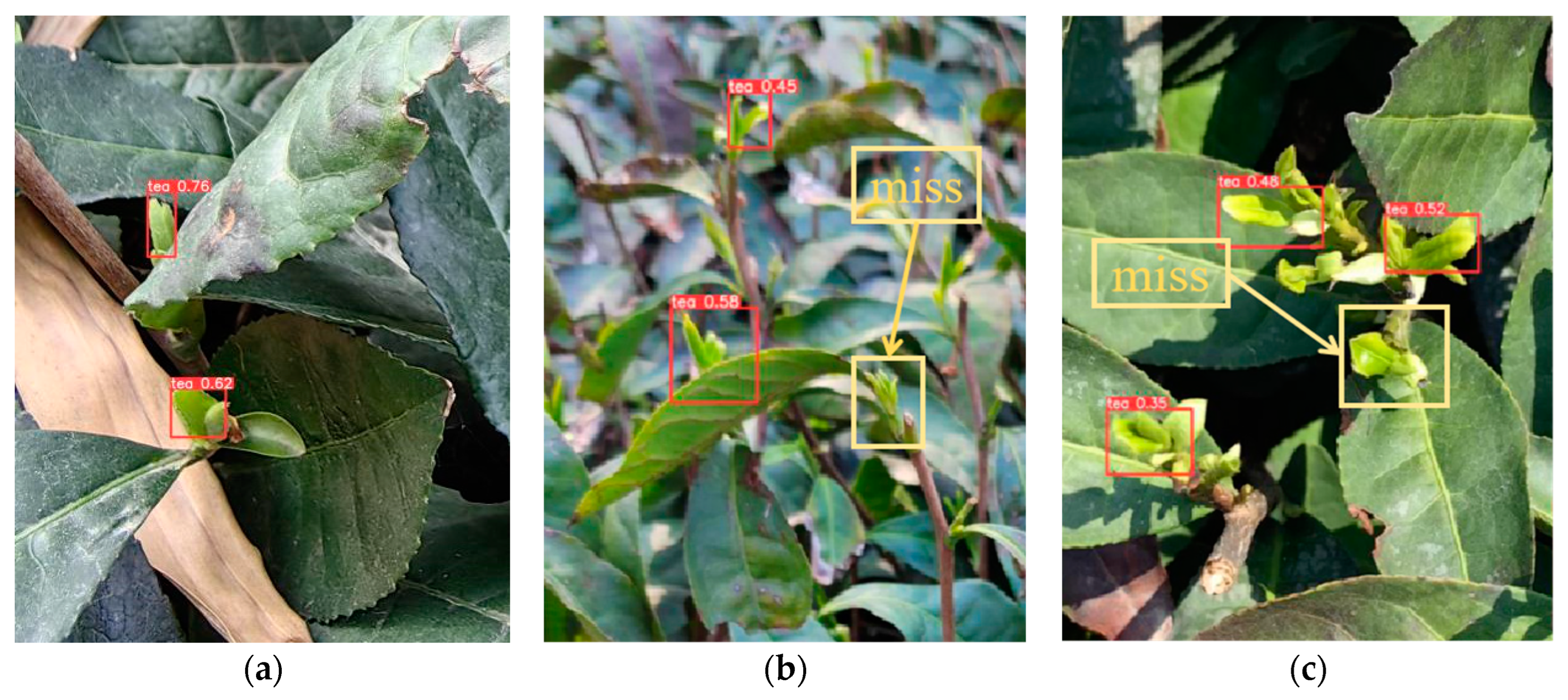 Agronomy 14 01800 g011