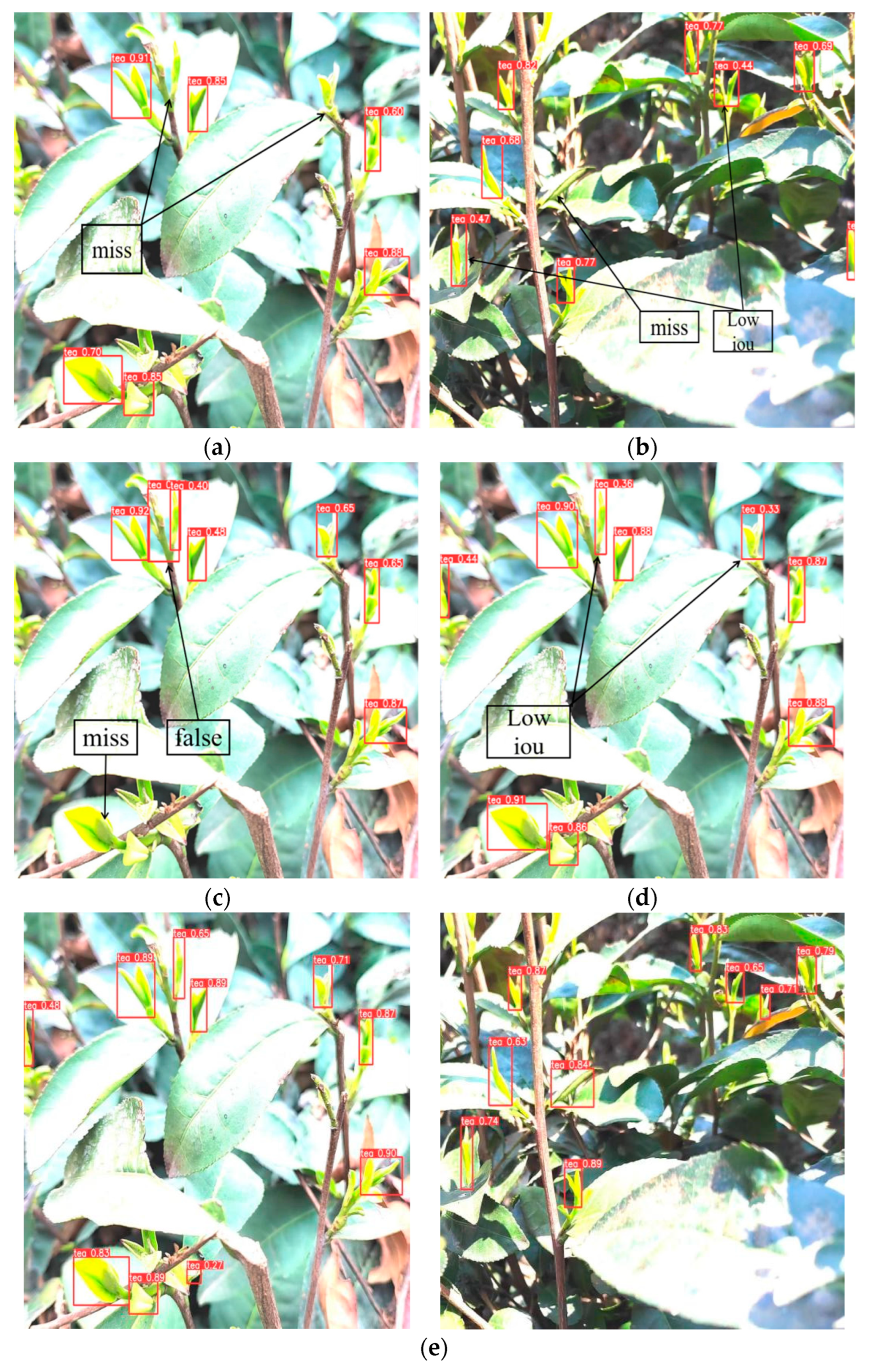 Agronomy 14 01800 g014