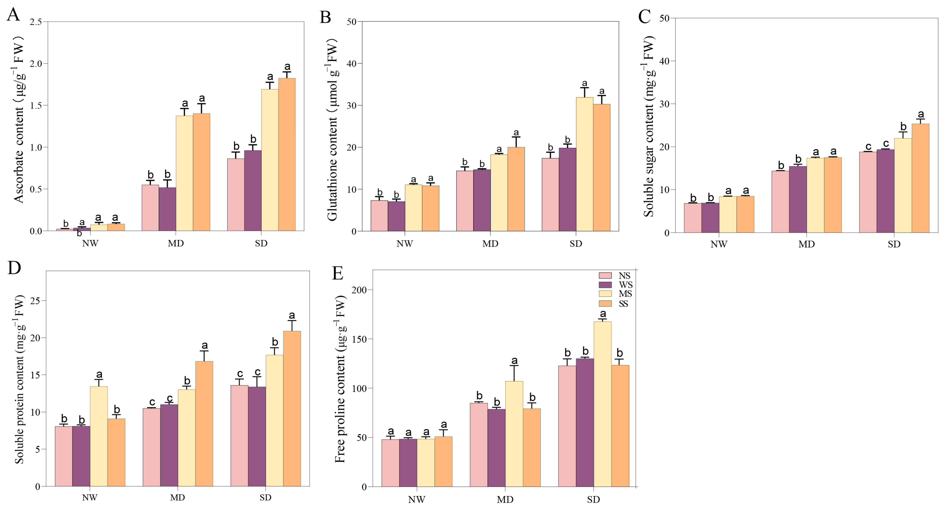 Agronomy 14 01803 g007