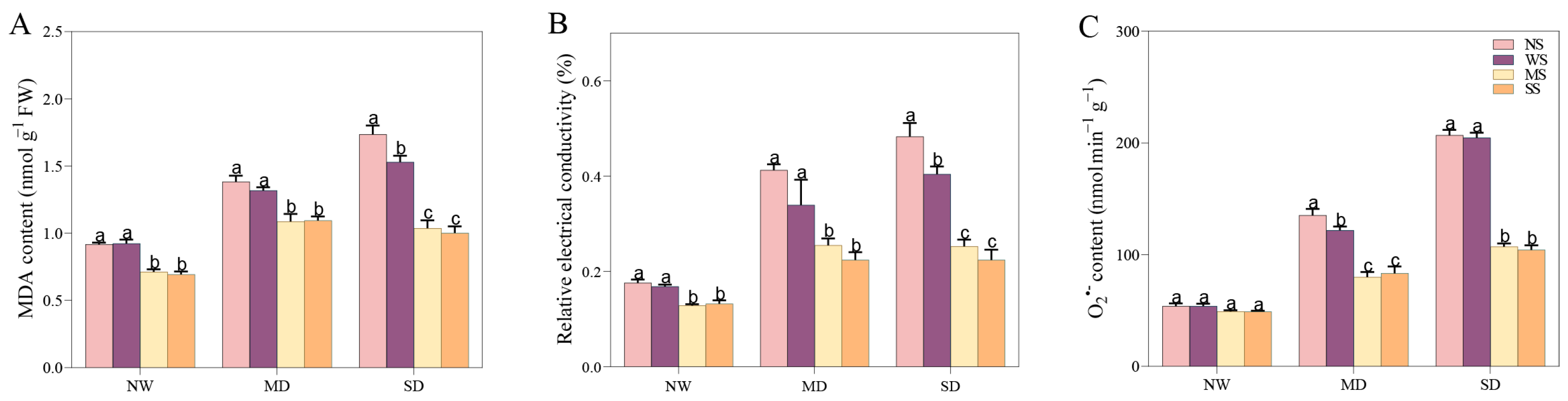 Agronomy 14 01803 g008