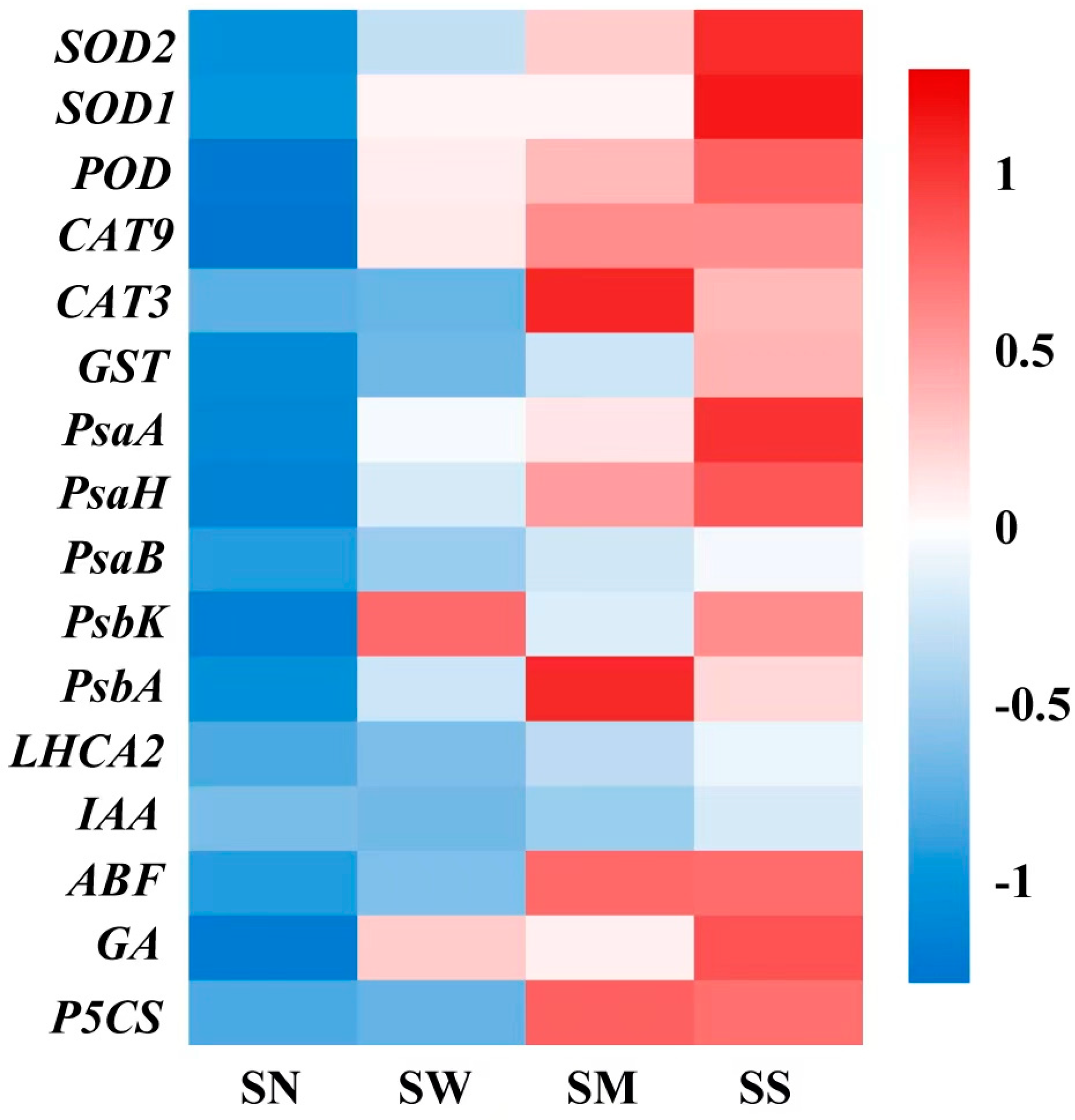 Agronomy 14 01803 g010