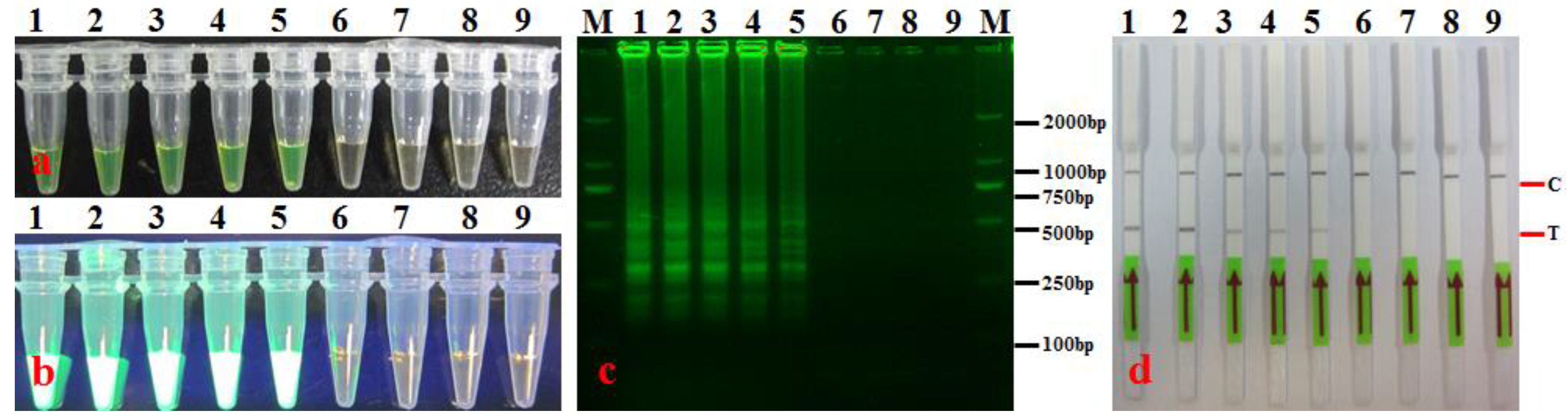 Agronomy 14 01804 g007 Agronomy 14 01804 g007