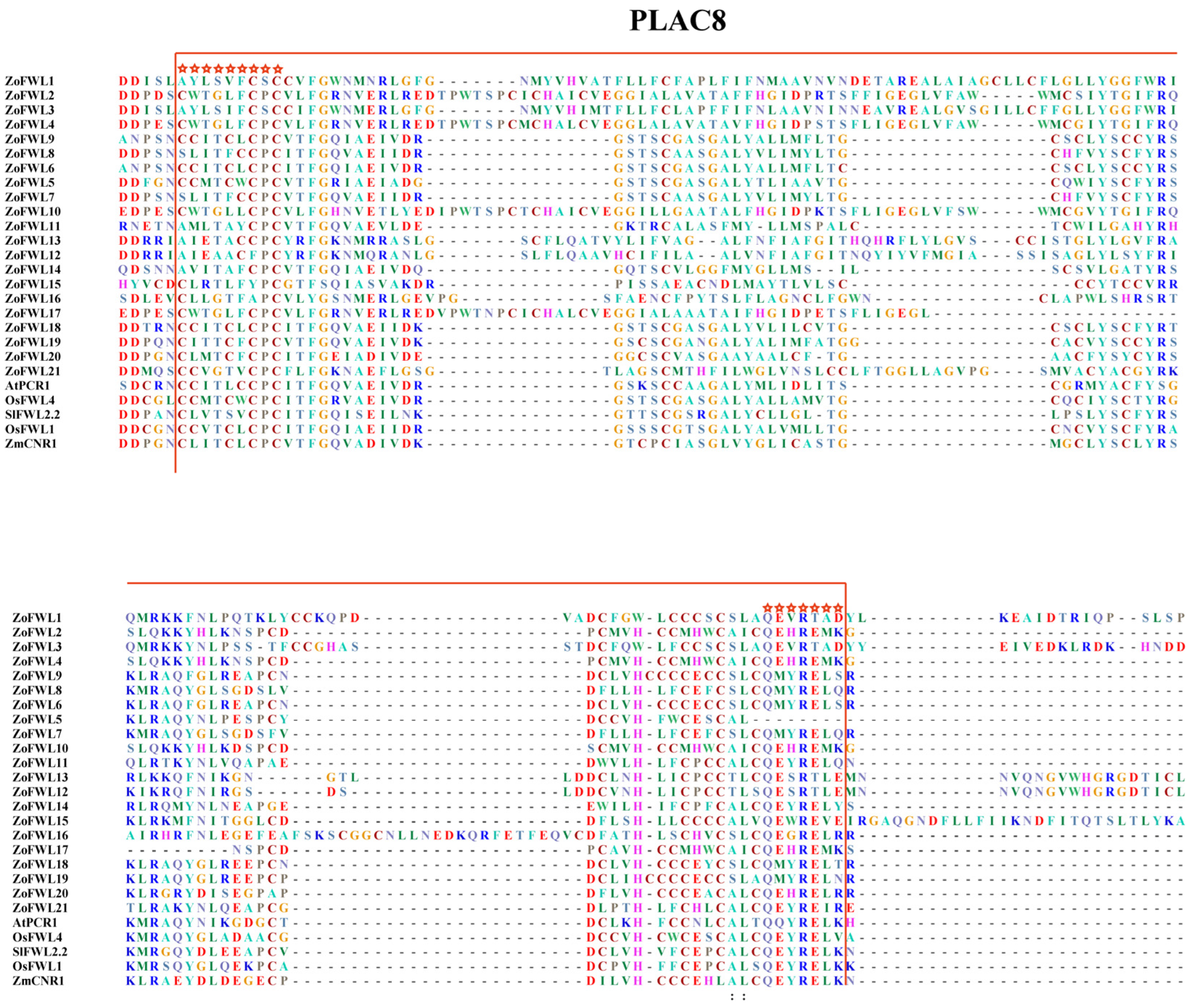 Agronomy 14 01805 g001