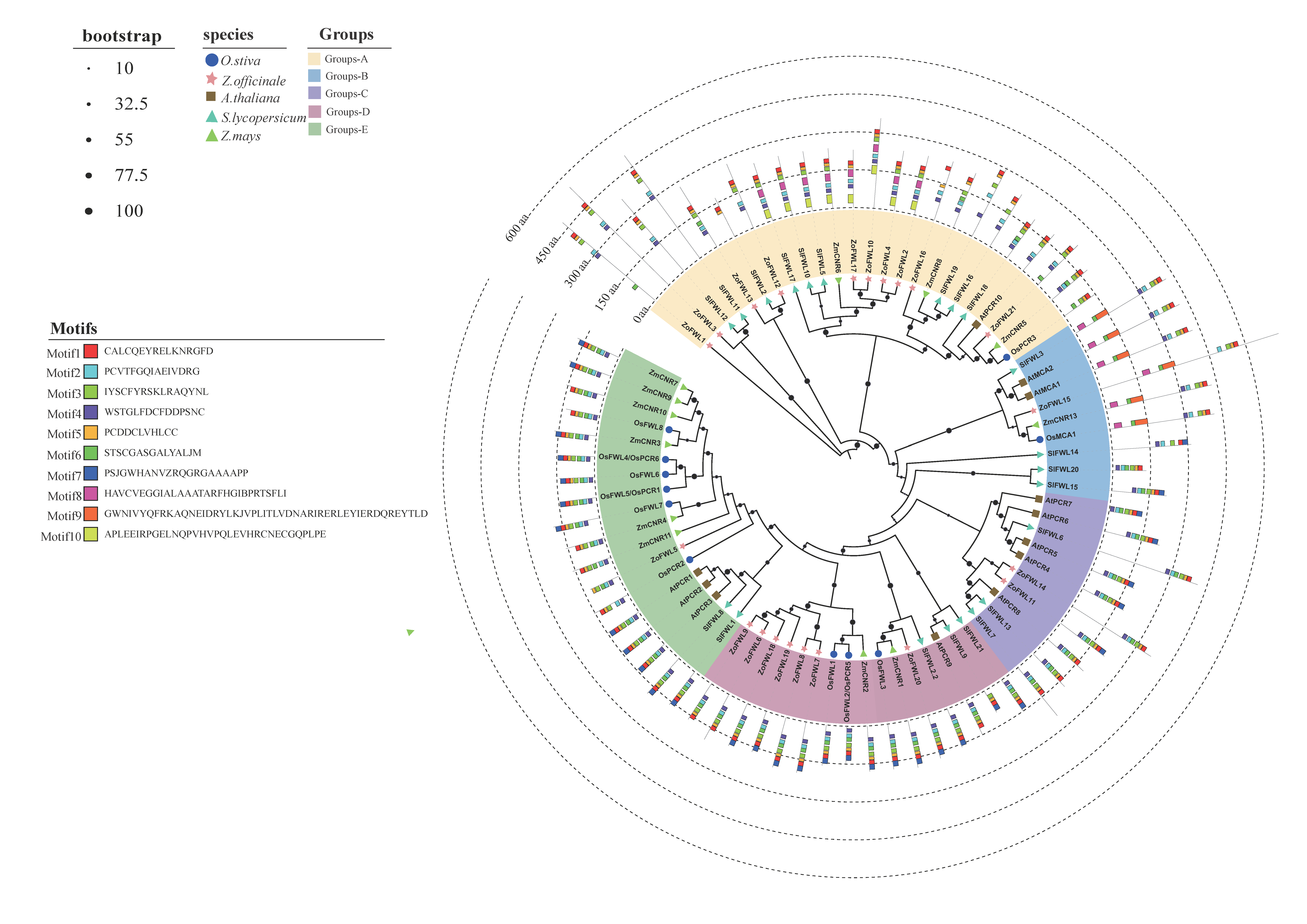 Agronomy 14 01805 g003