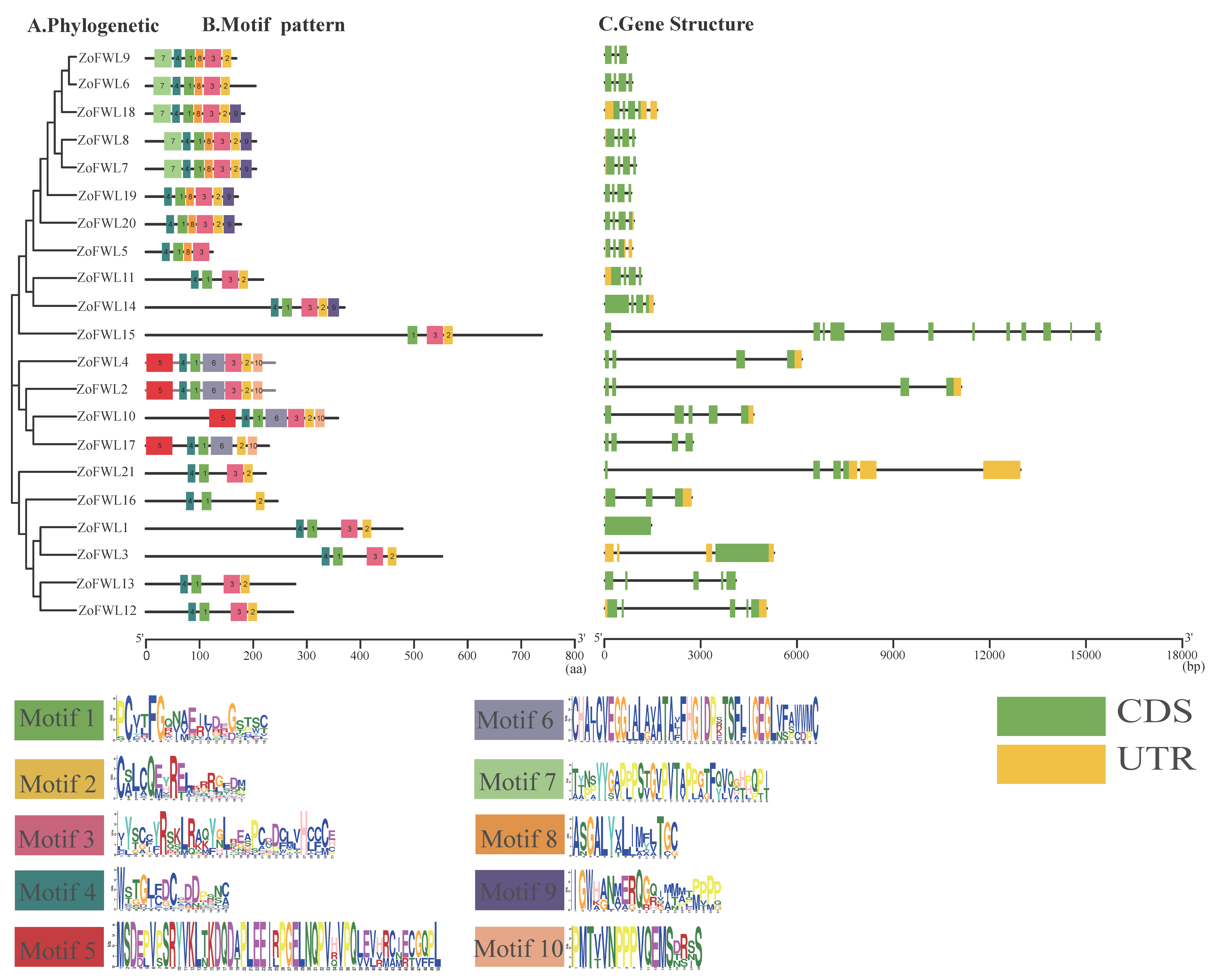 Agronomy 14 01805 g004
