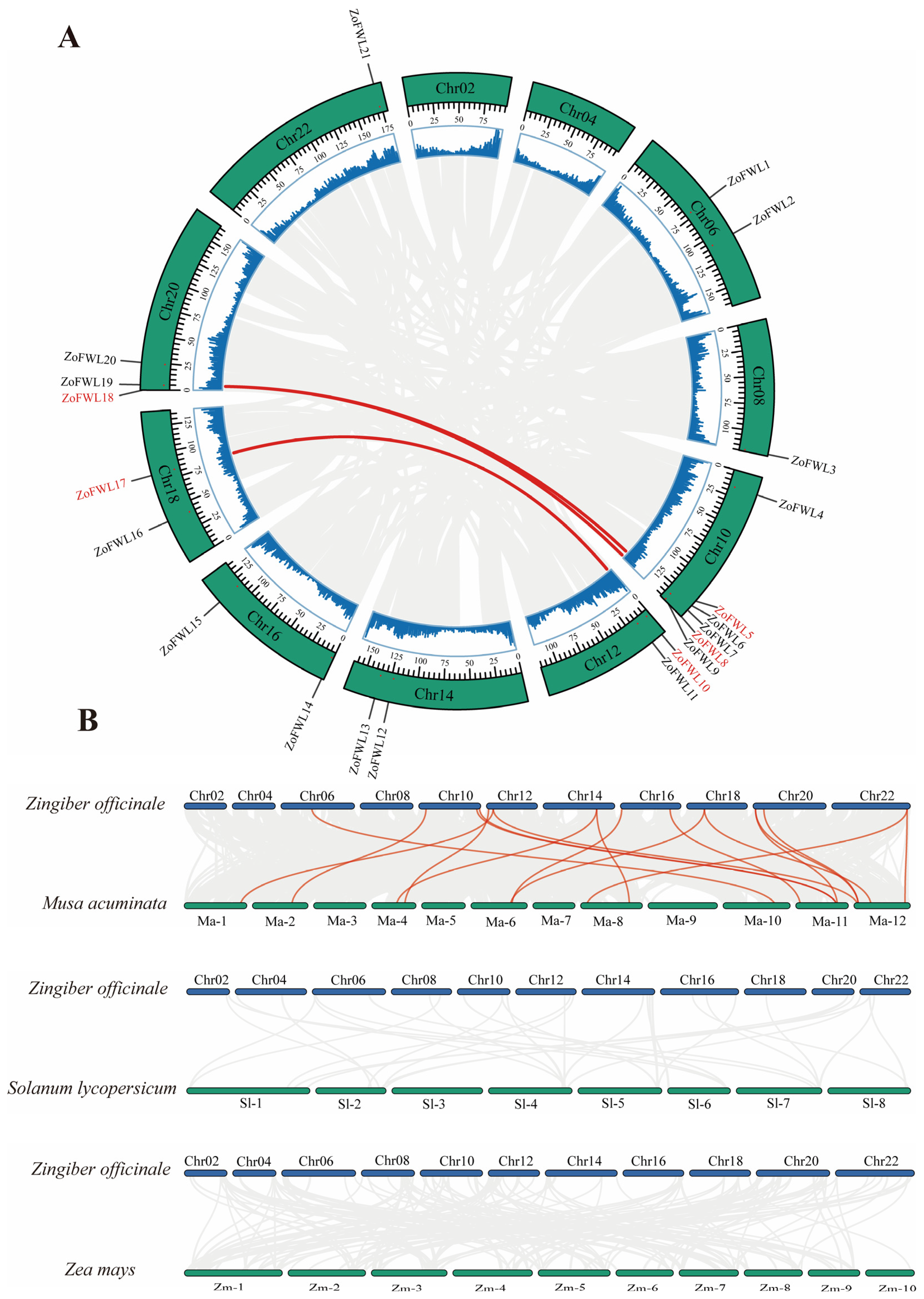 Agronomy 14 01805 g006