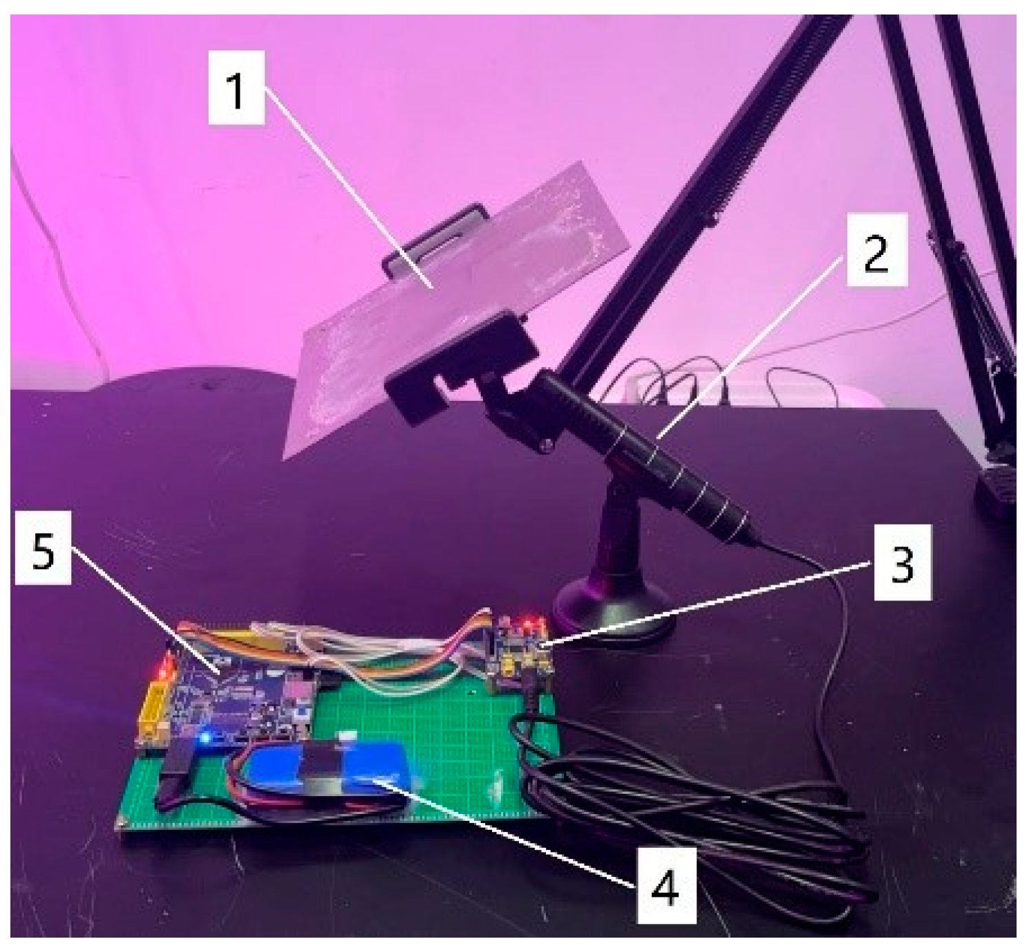 Agronomy 14 01816 g006