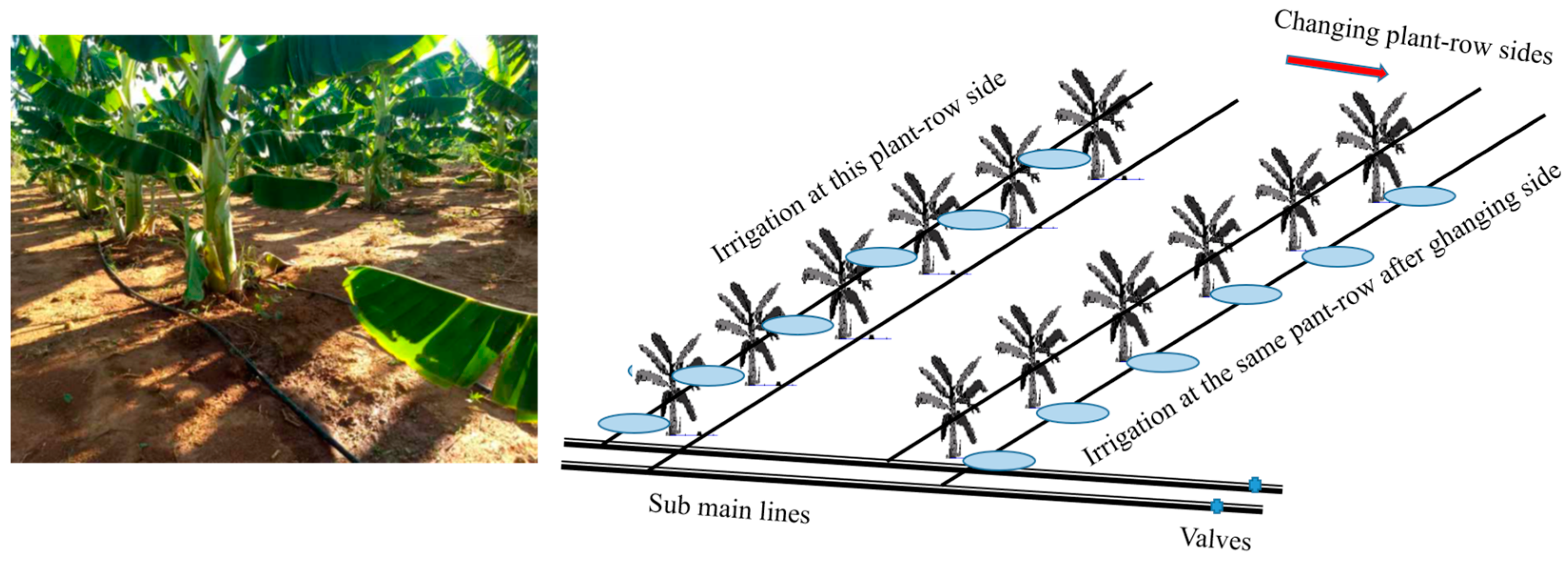 Agronomy 14 01820 g001