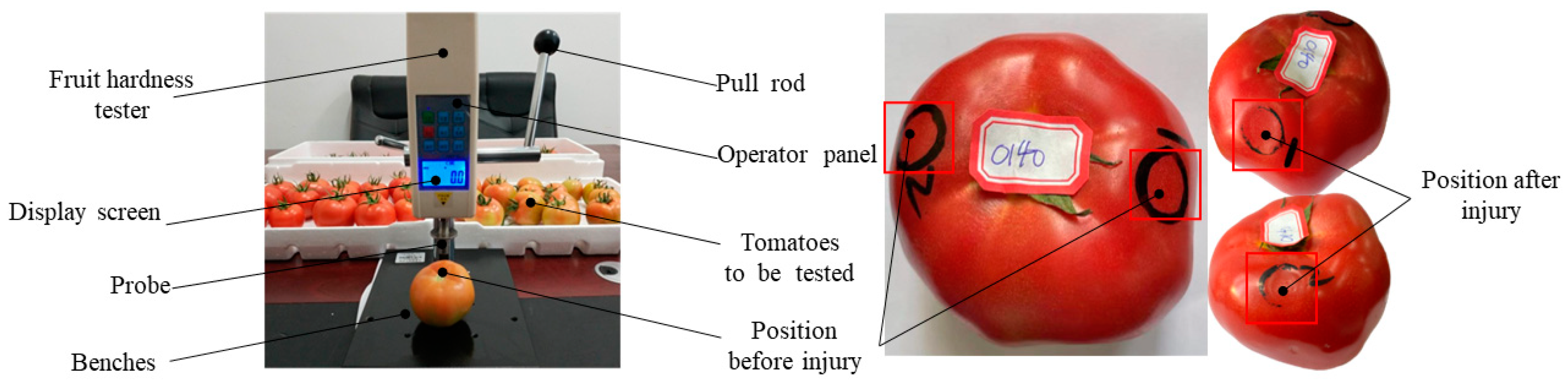Agronomy 14 01822 g004