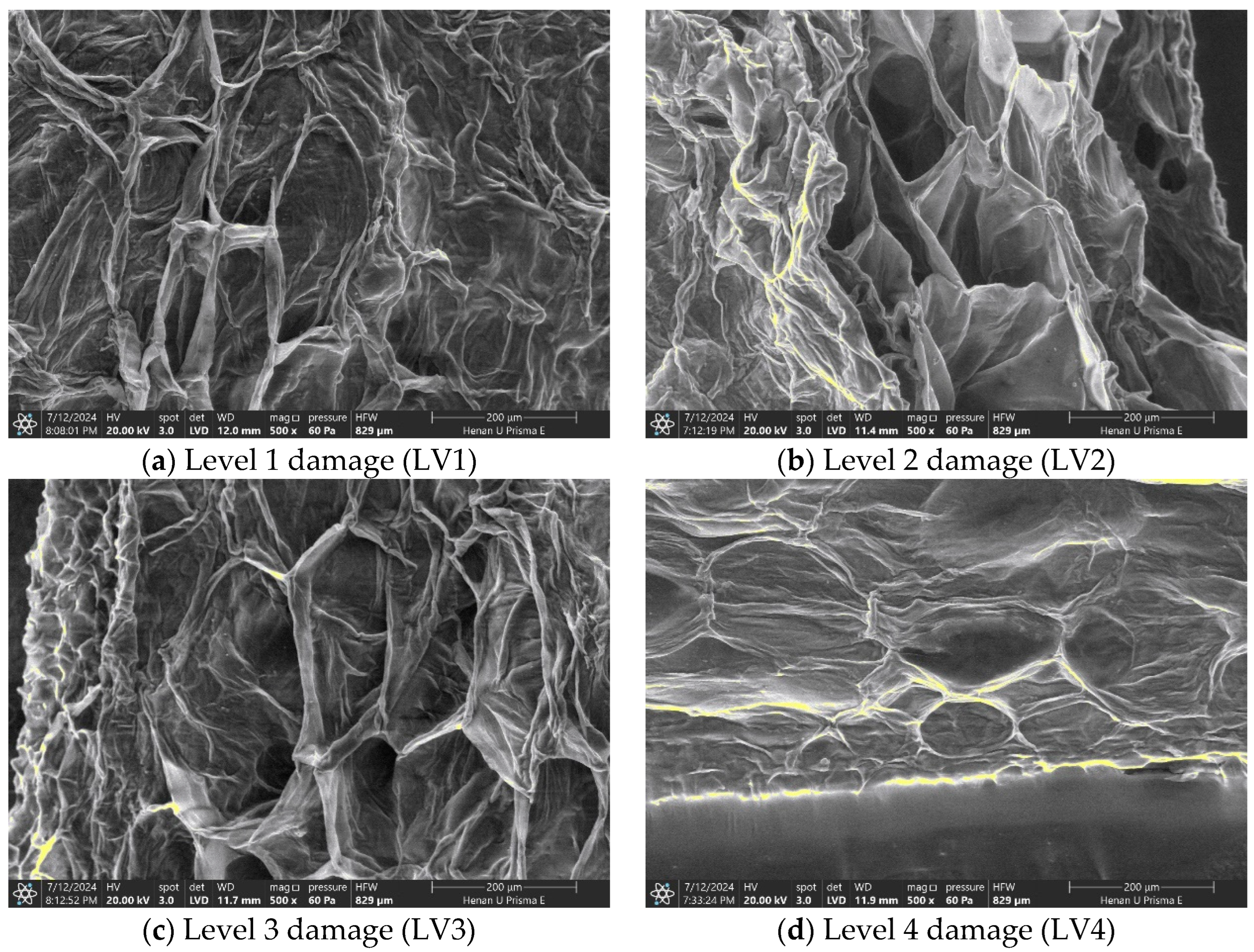 Agronomy 14 01822 g009