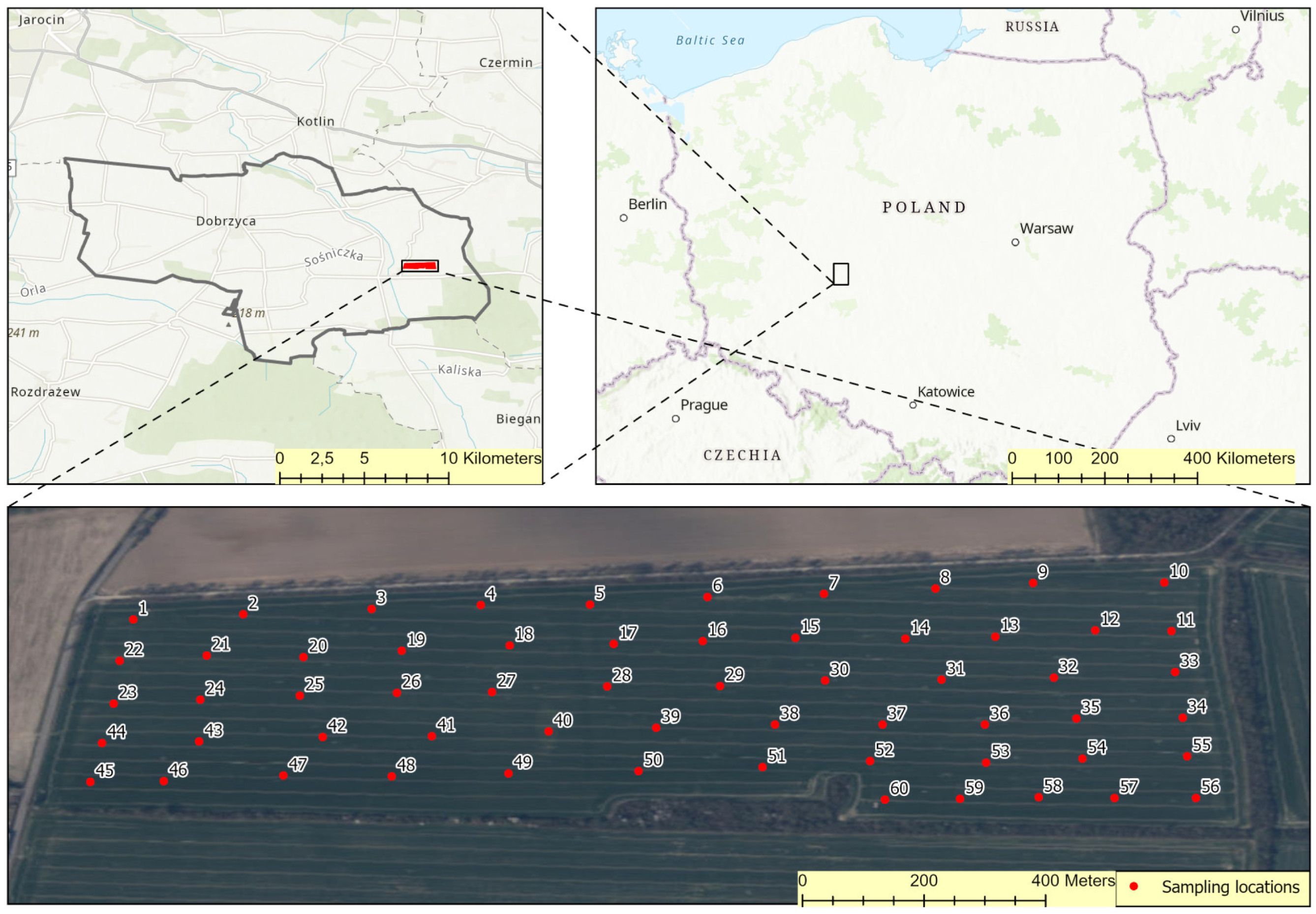 Agronomy 14 01845 g001