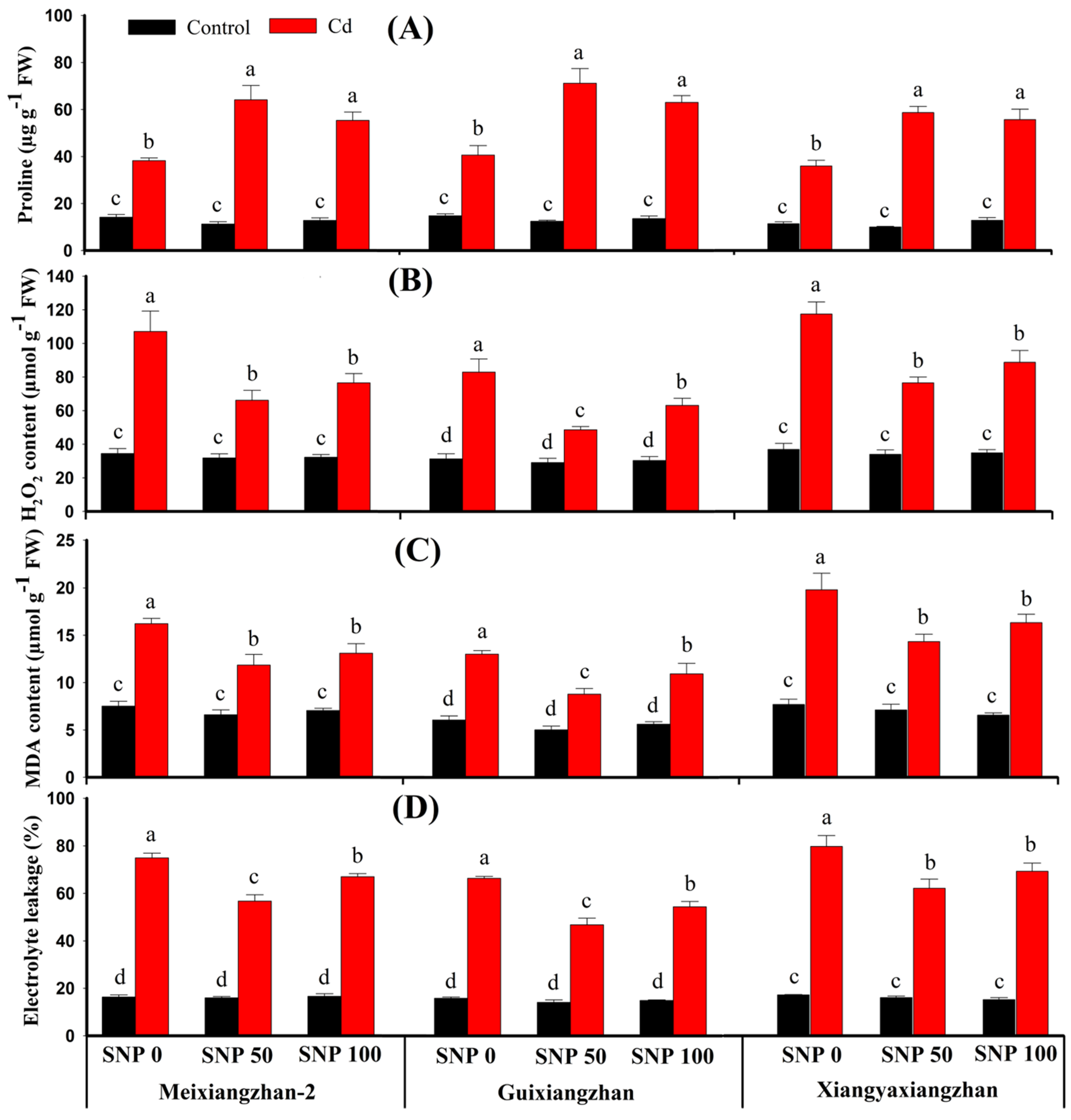 Agronomy 14 01857 g005