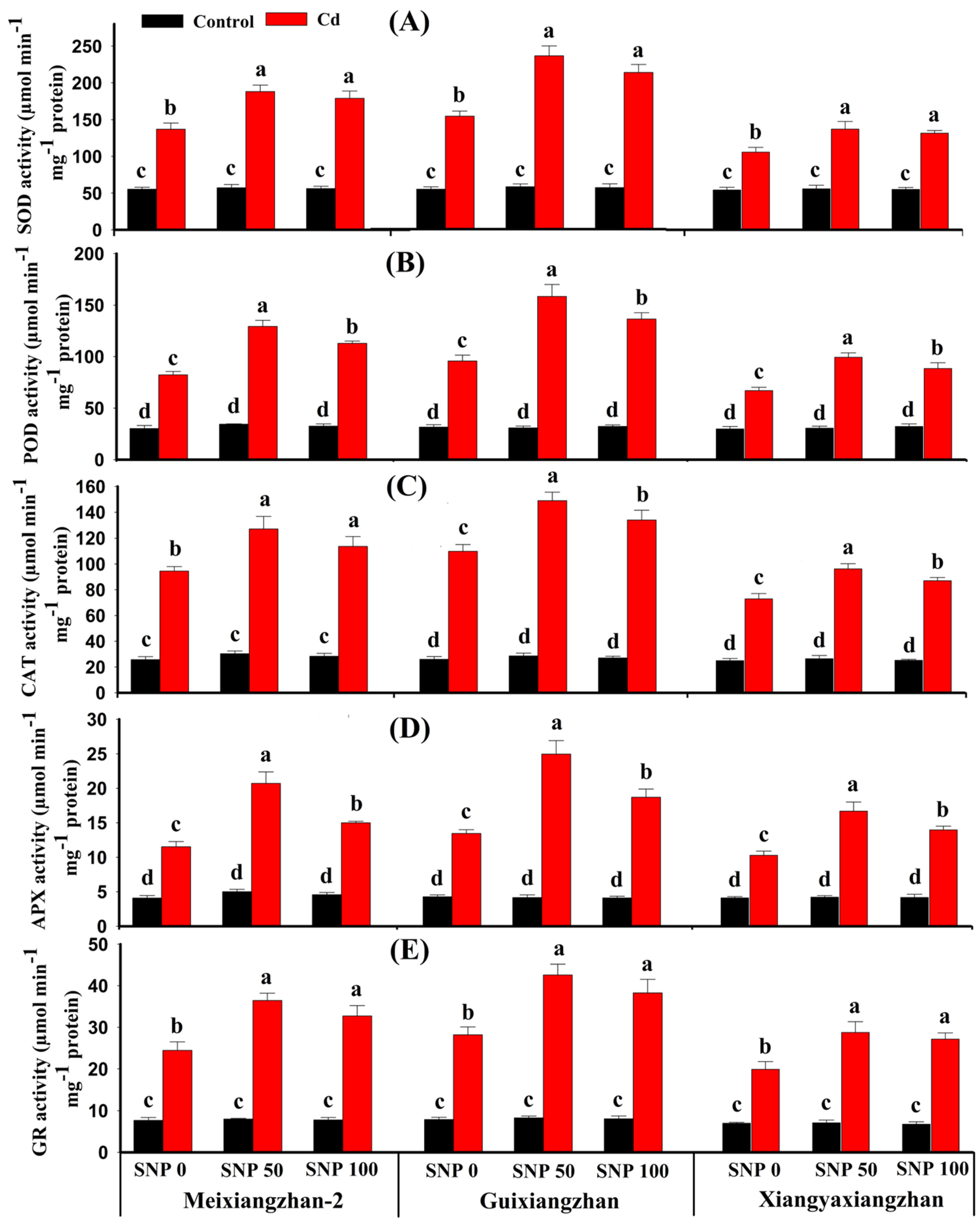 Agronomy 14 01857 g006