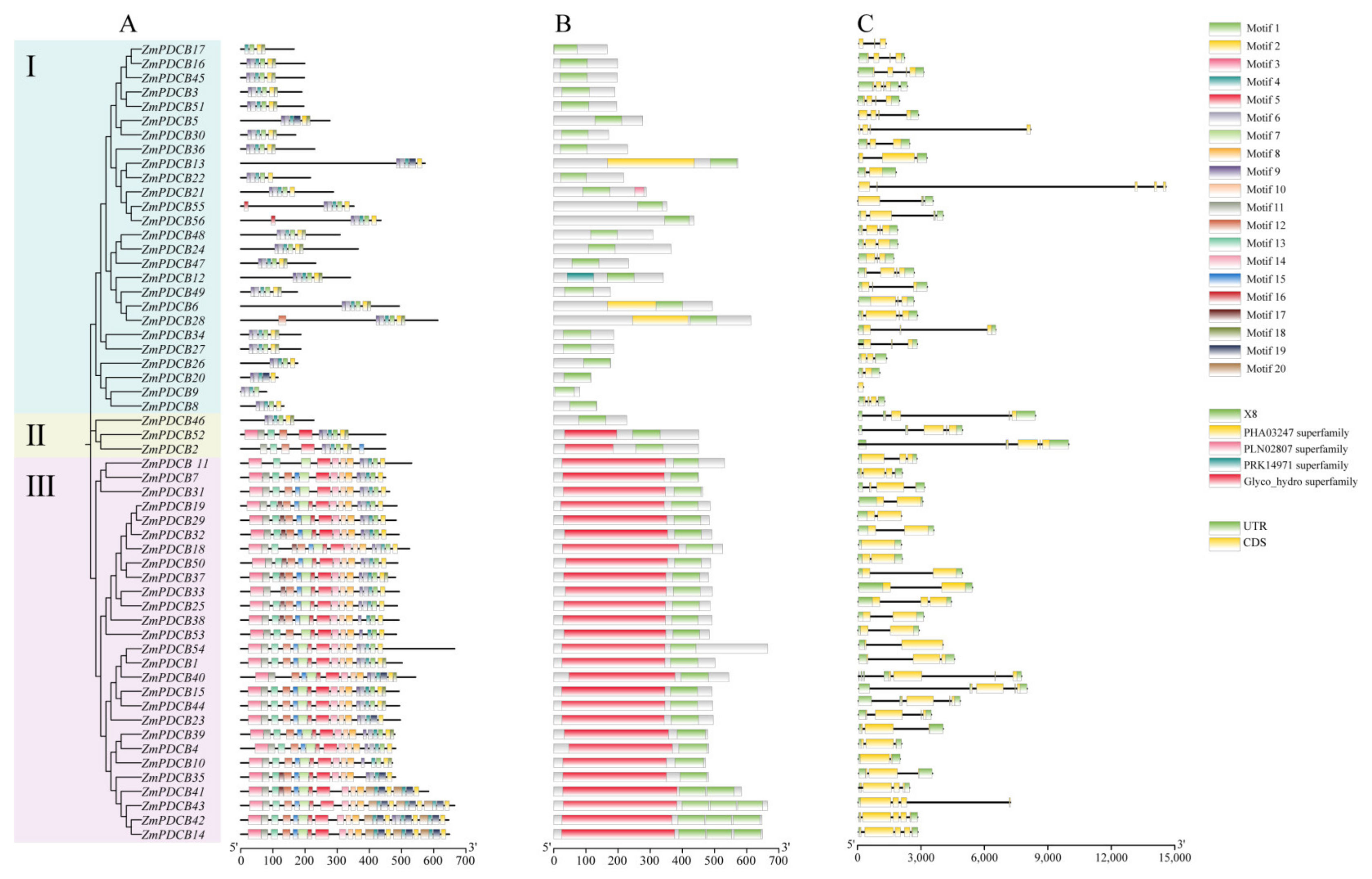 Agronomy 14 01858 g002