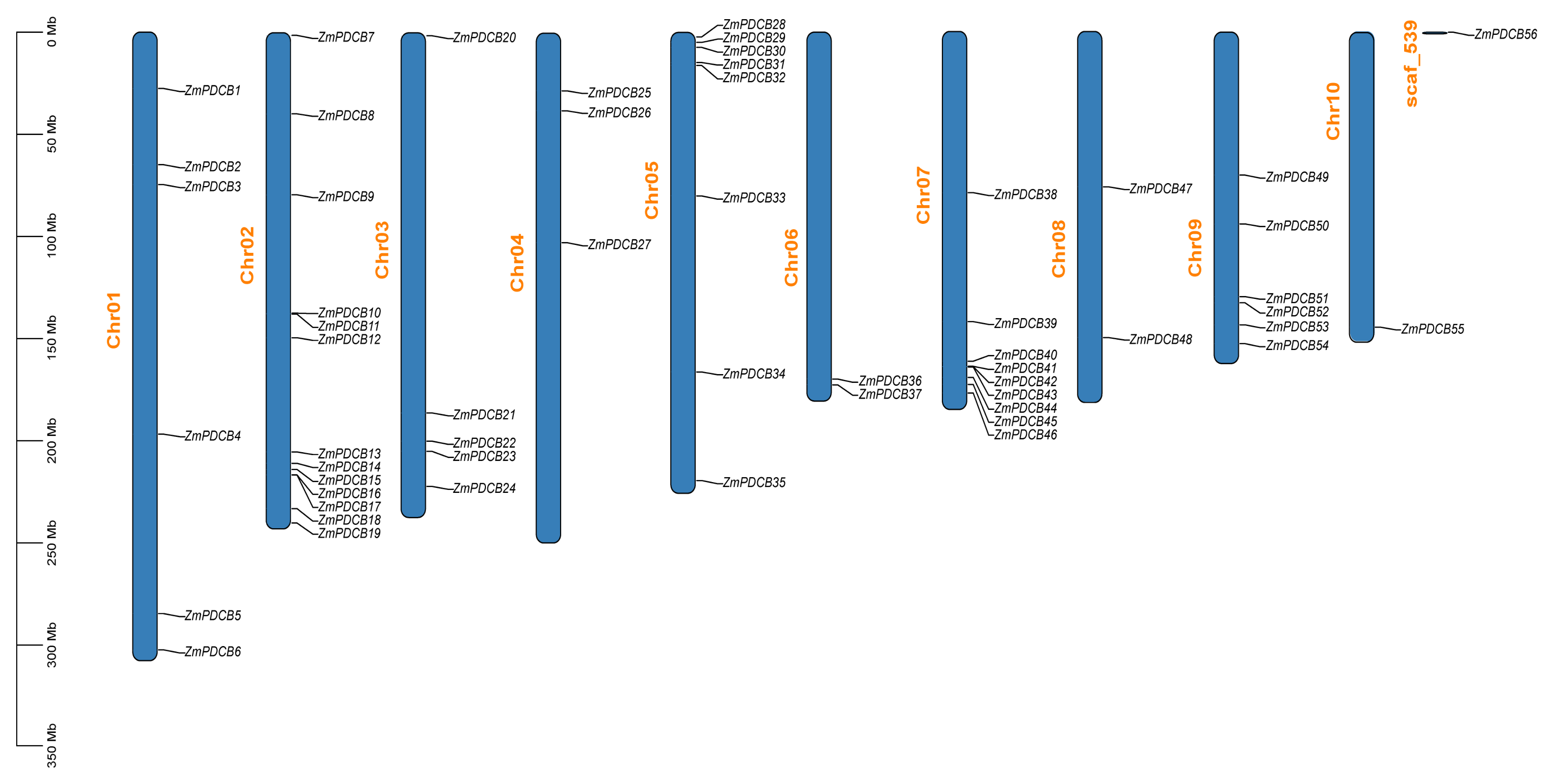 Agronomy 14 01858 g003