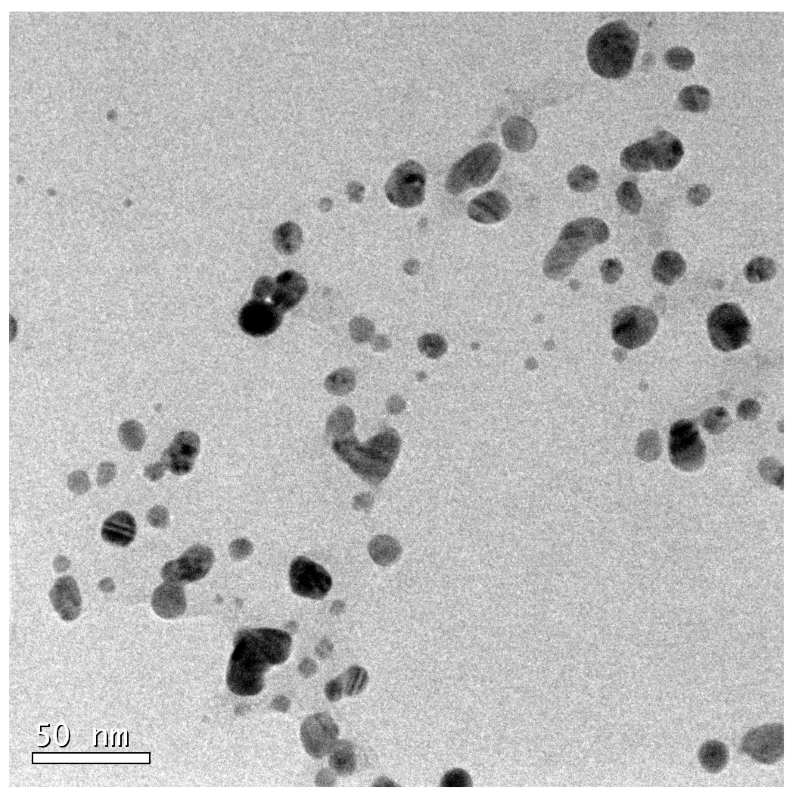 Agronomy 14 01866 g001