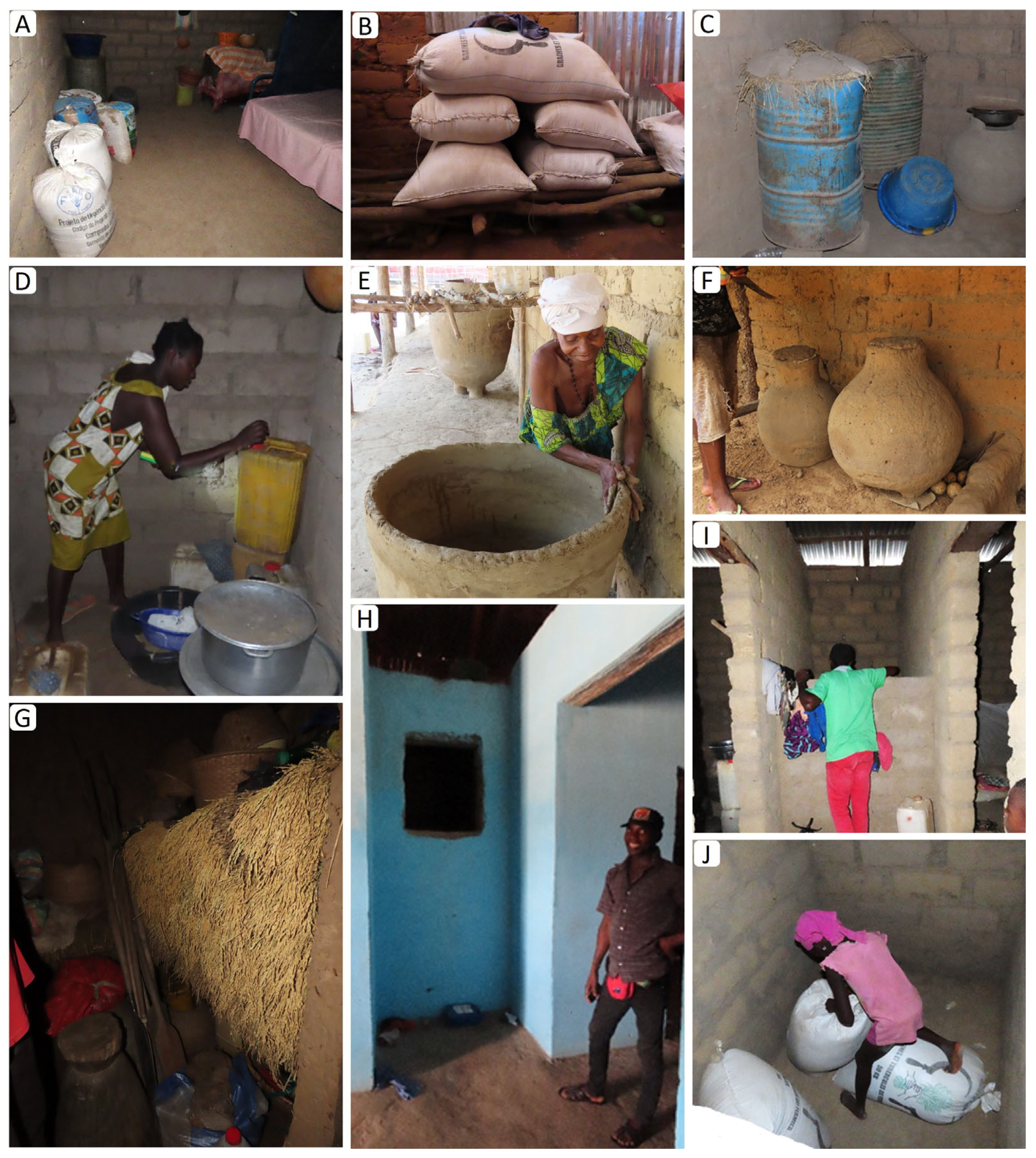 Agronomy 14 01870 g002