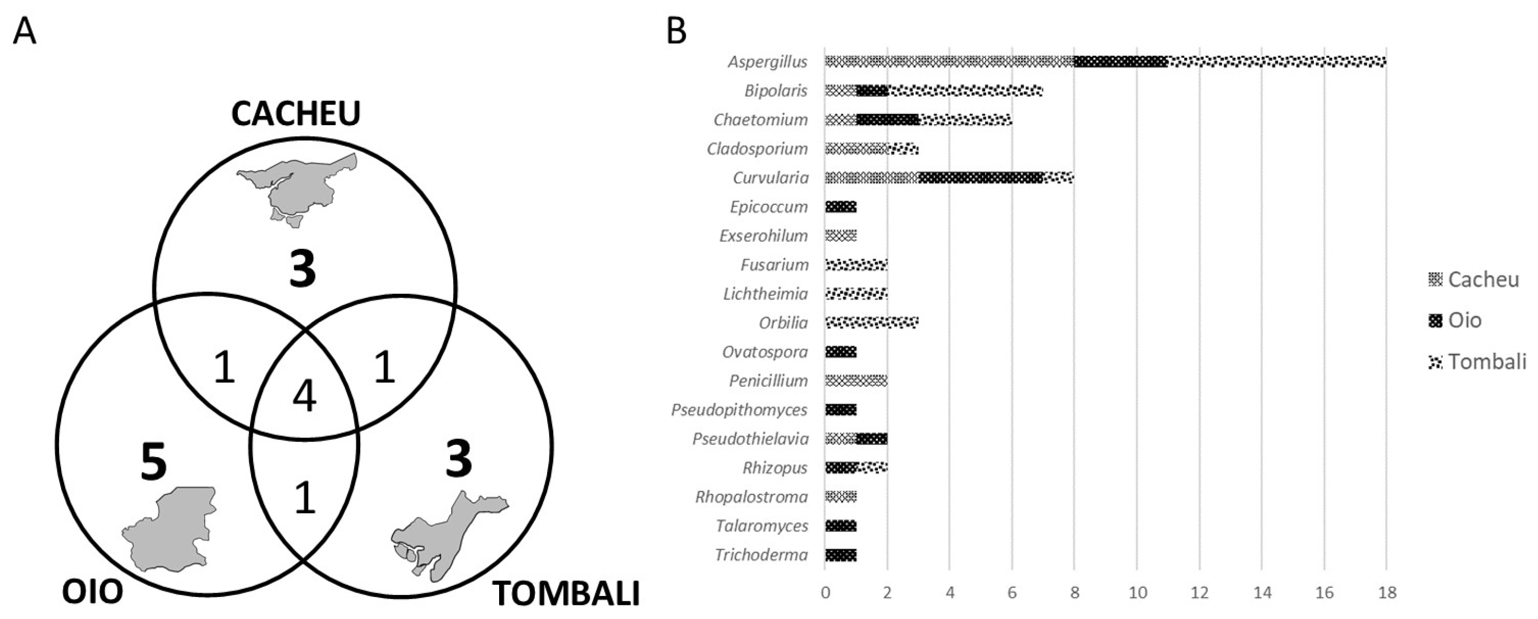 Agronomy 14 01870 g004