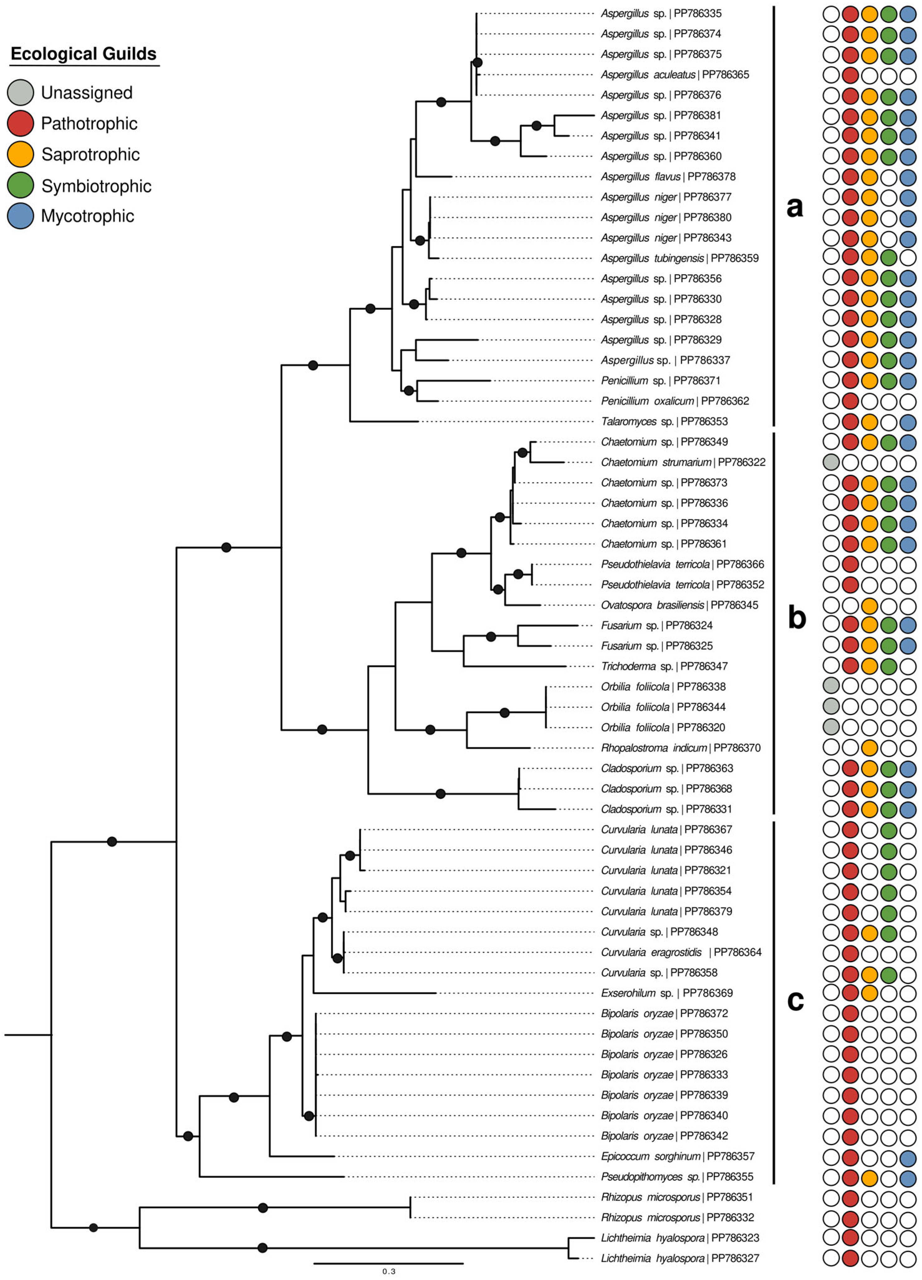 Agronomy 14 01870 g005