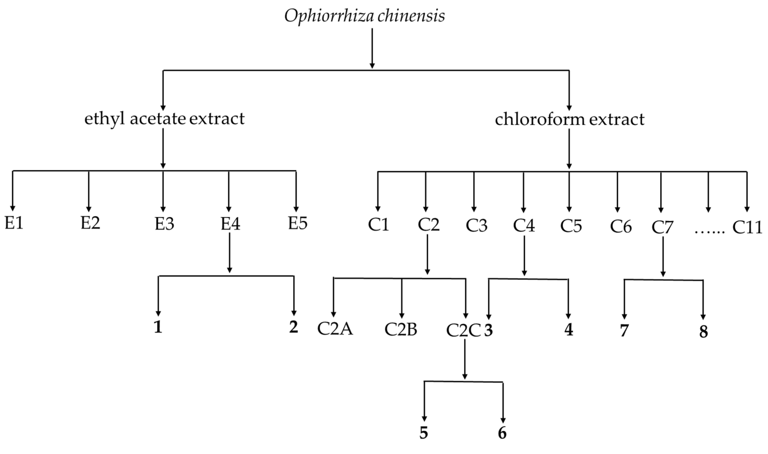 Agronomy 14 01872 g001