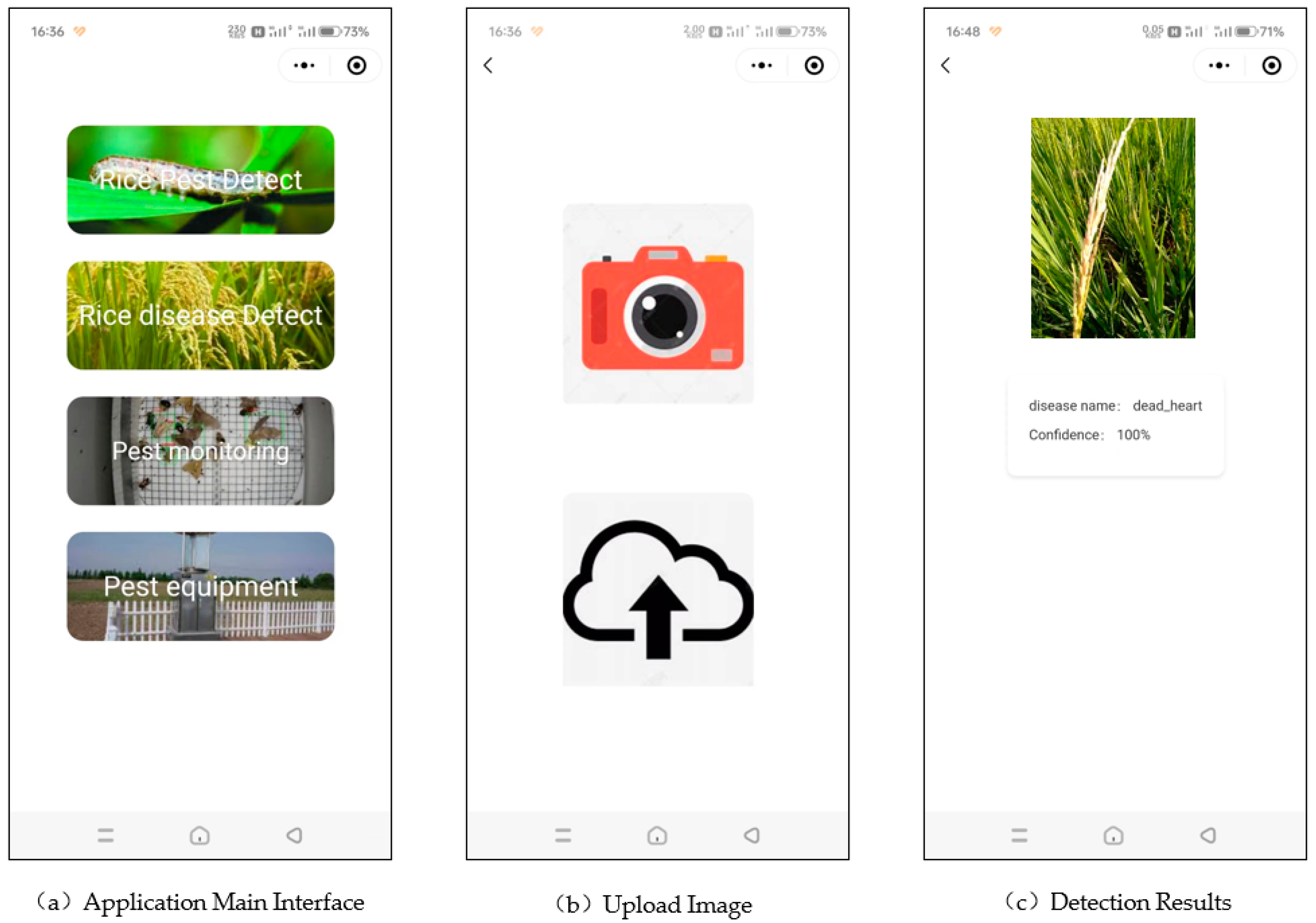 Agronomy 14 01879 g009