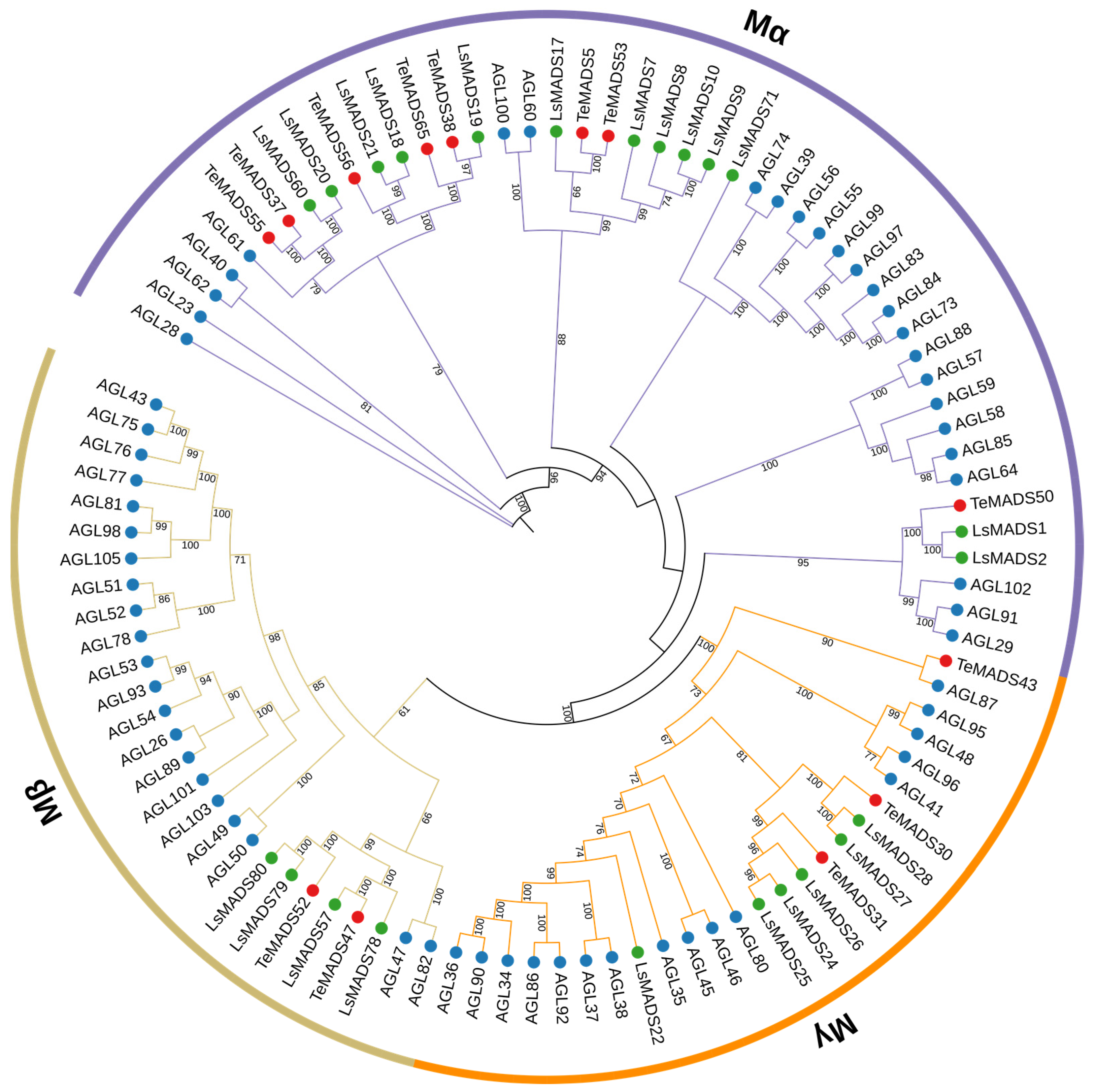 Agronomy 14 01889 g001