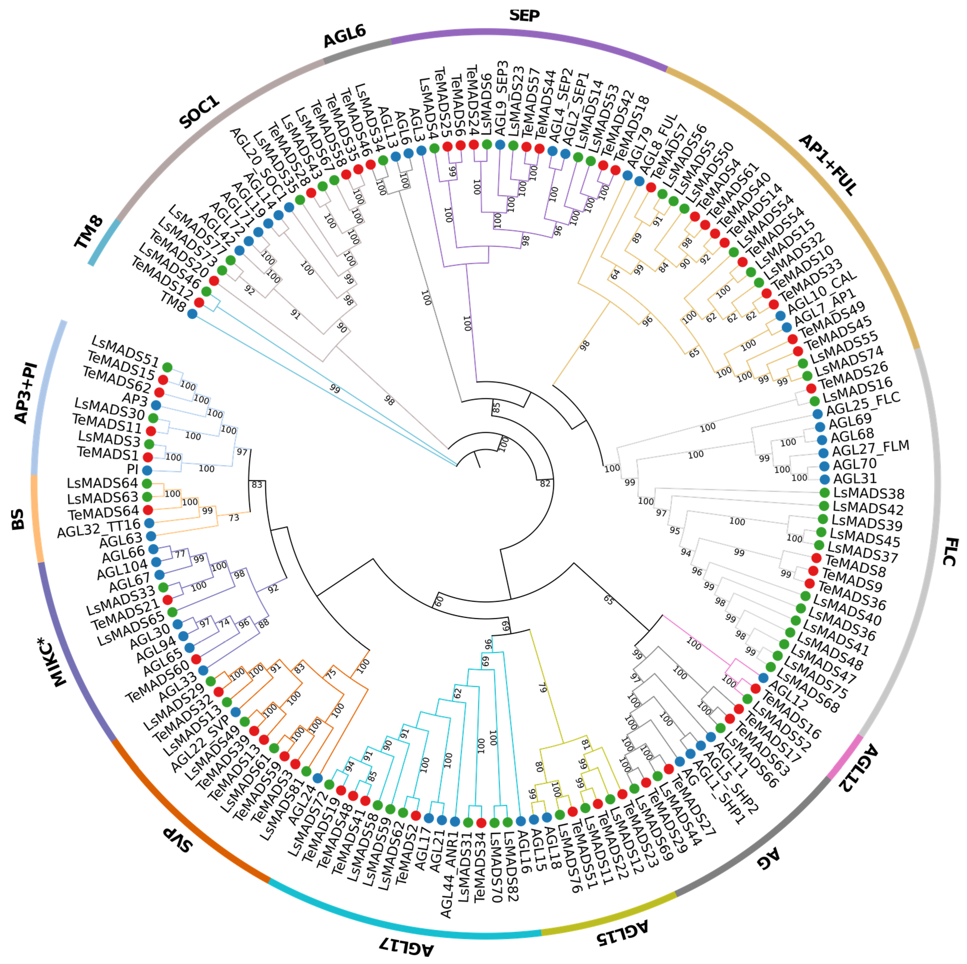 Agronomy 14 01889 g002