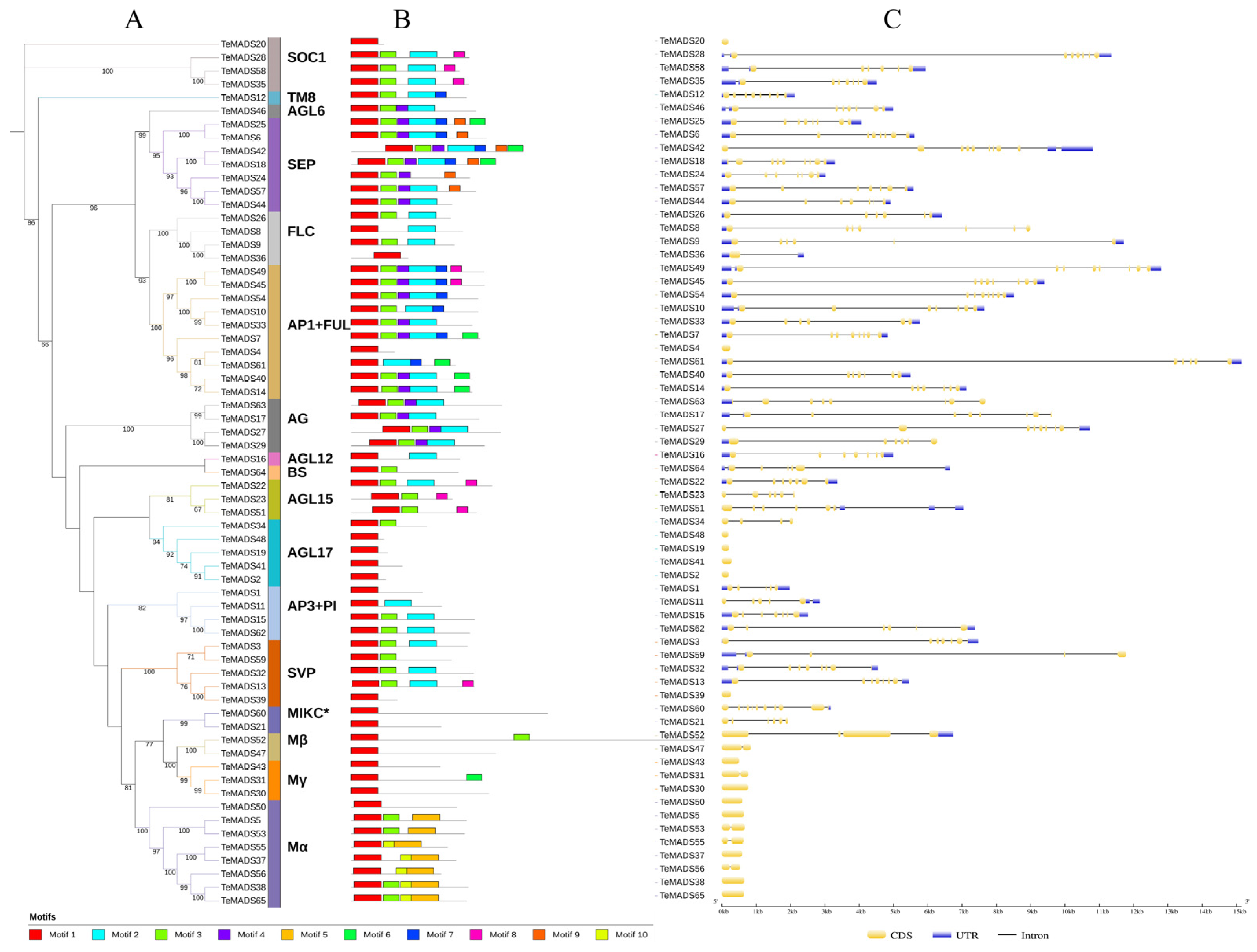 Agronomy 14 01889 g003