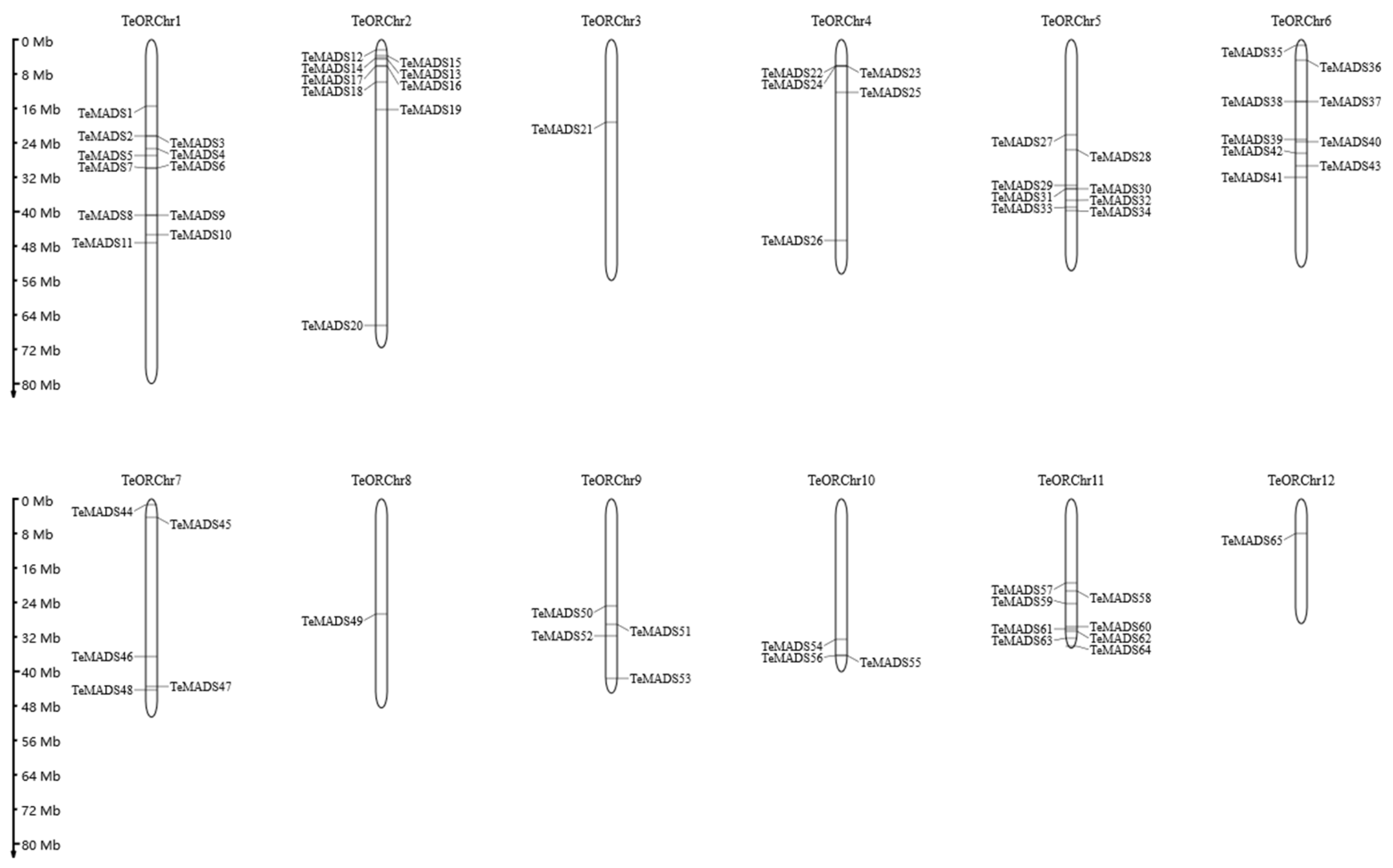 Agronomy 14 01889 g004