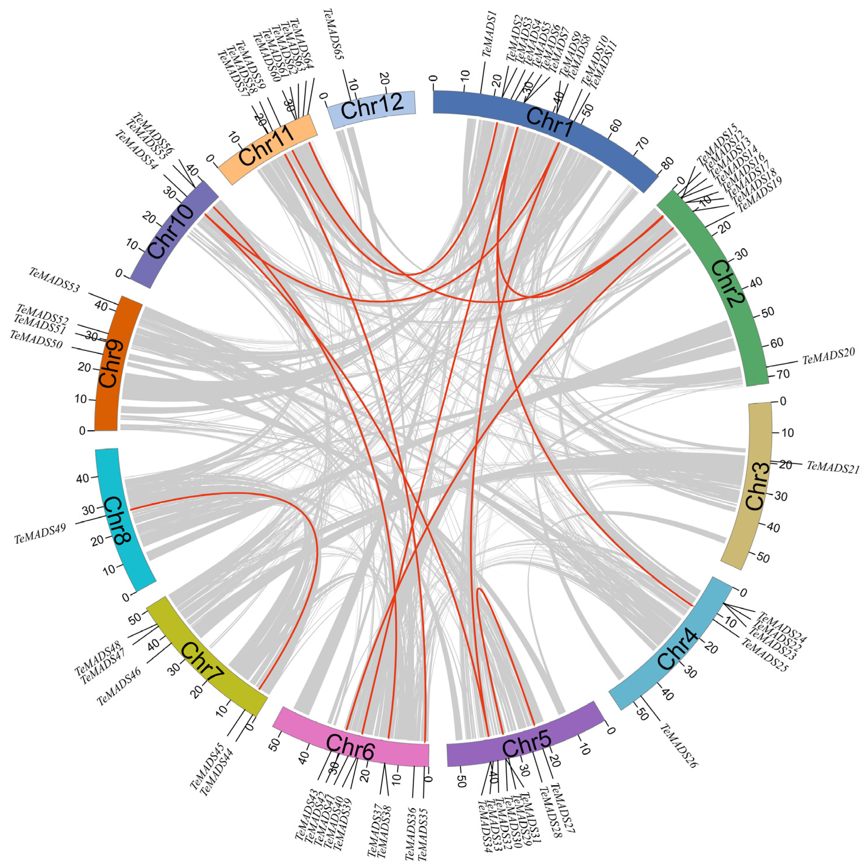 Agronomy 14 01889 g005