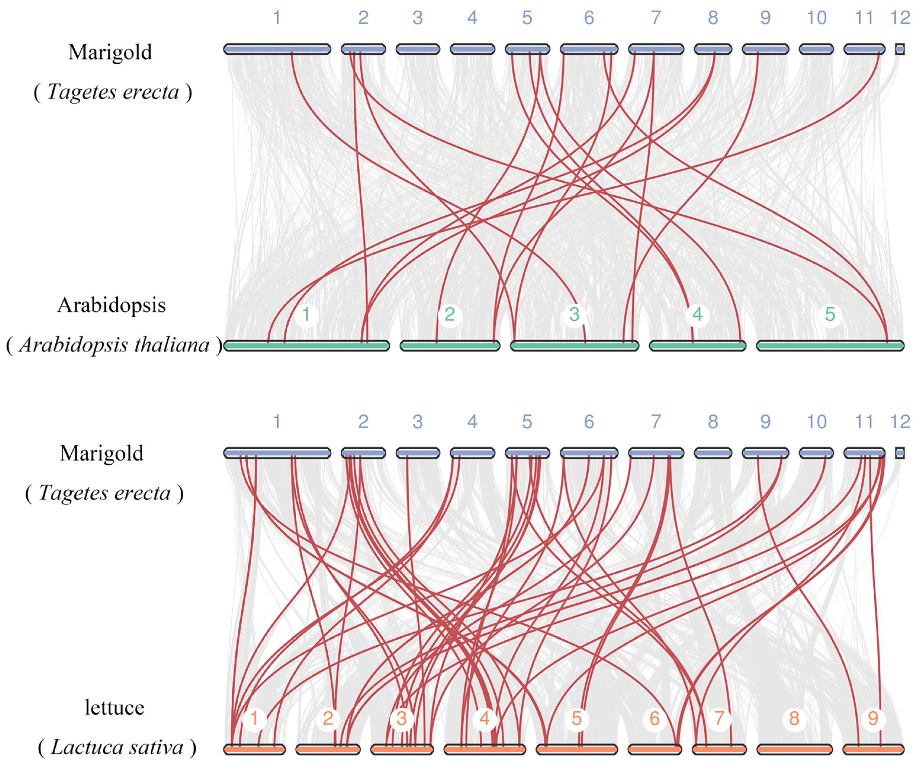 Agronomy 14 01889 g006