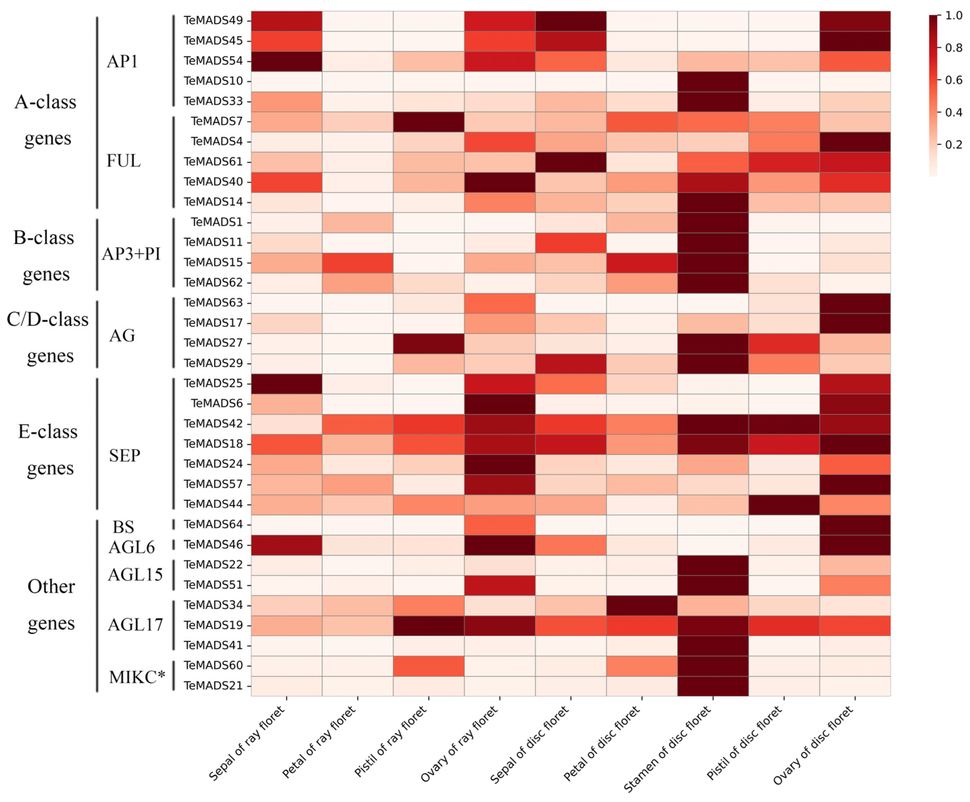 Agronomy 14 01889 g008