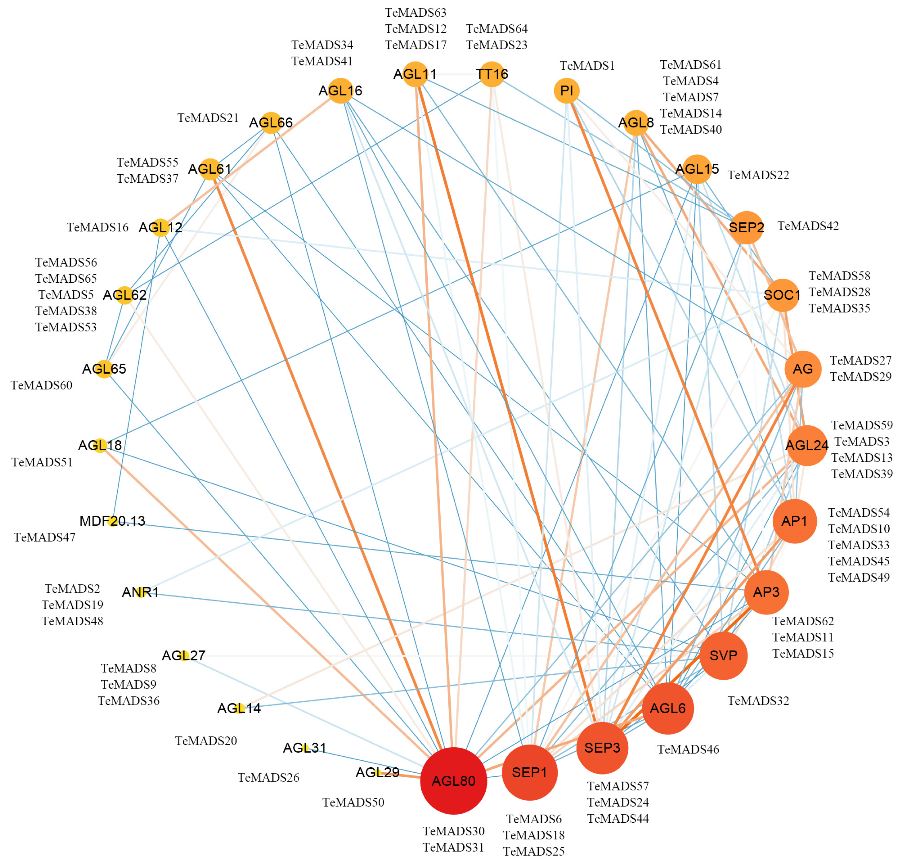 Agronomy 14 01889 g009