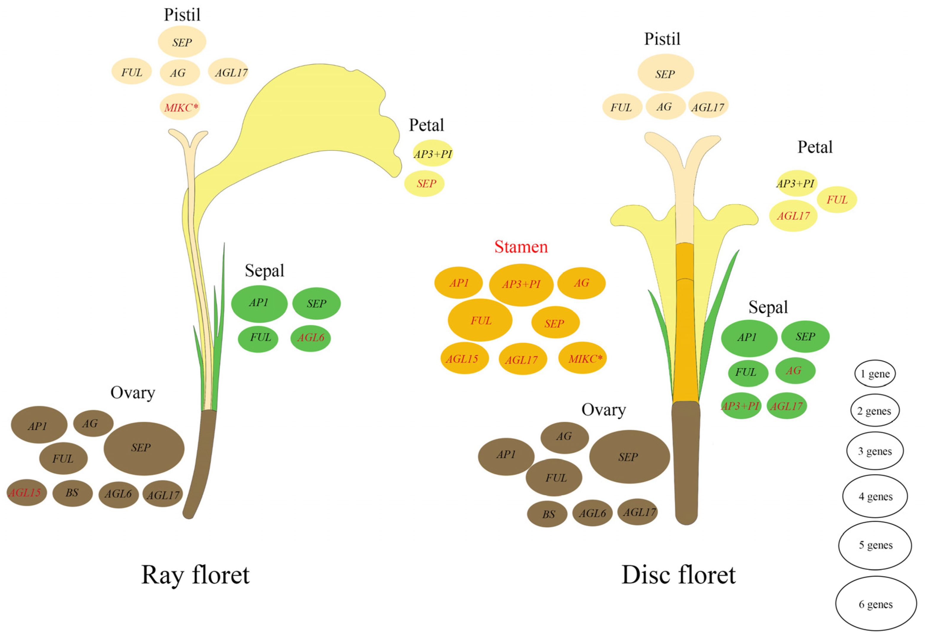 Agronomy 14 01889 g011
