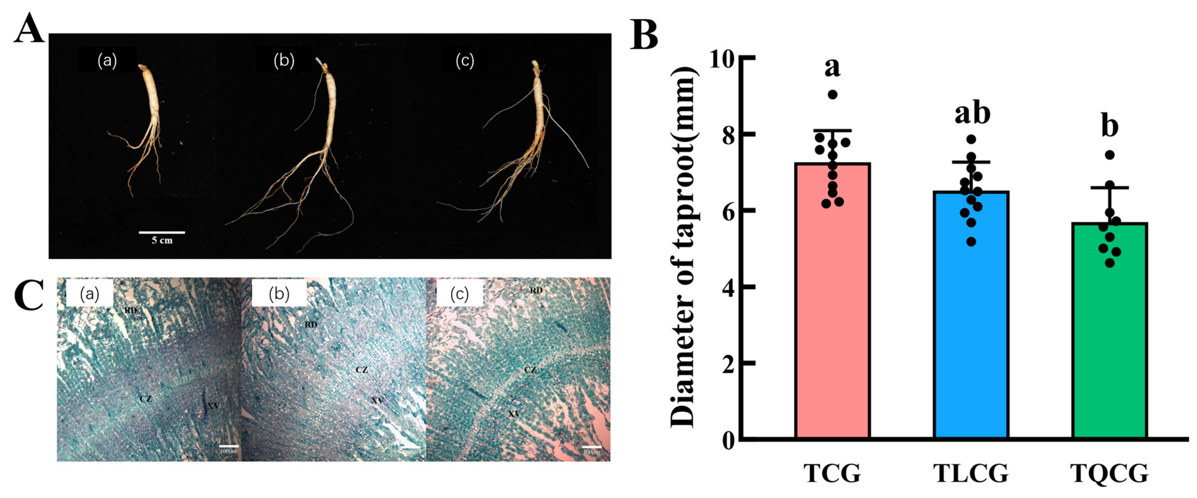 Agronomy 14 01897 g002 Agronomy 14 01897 g002