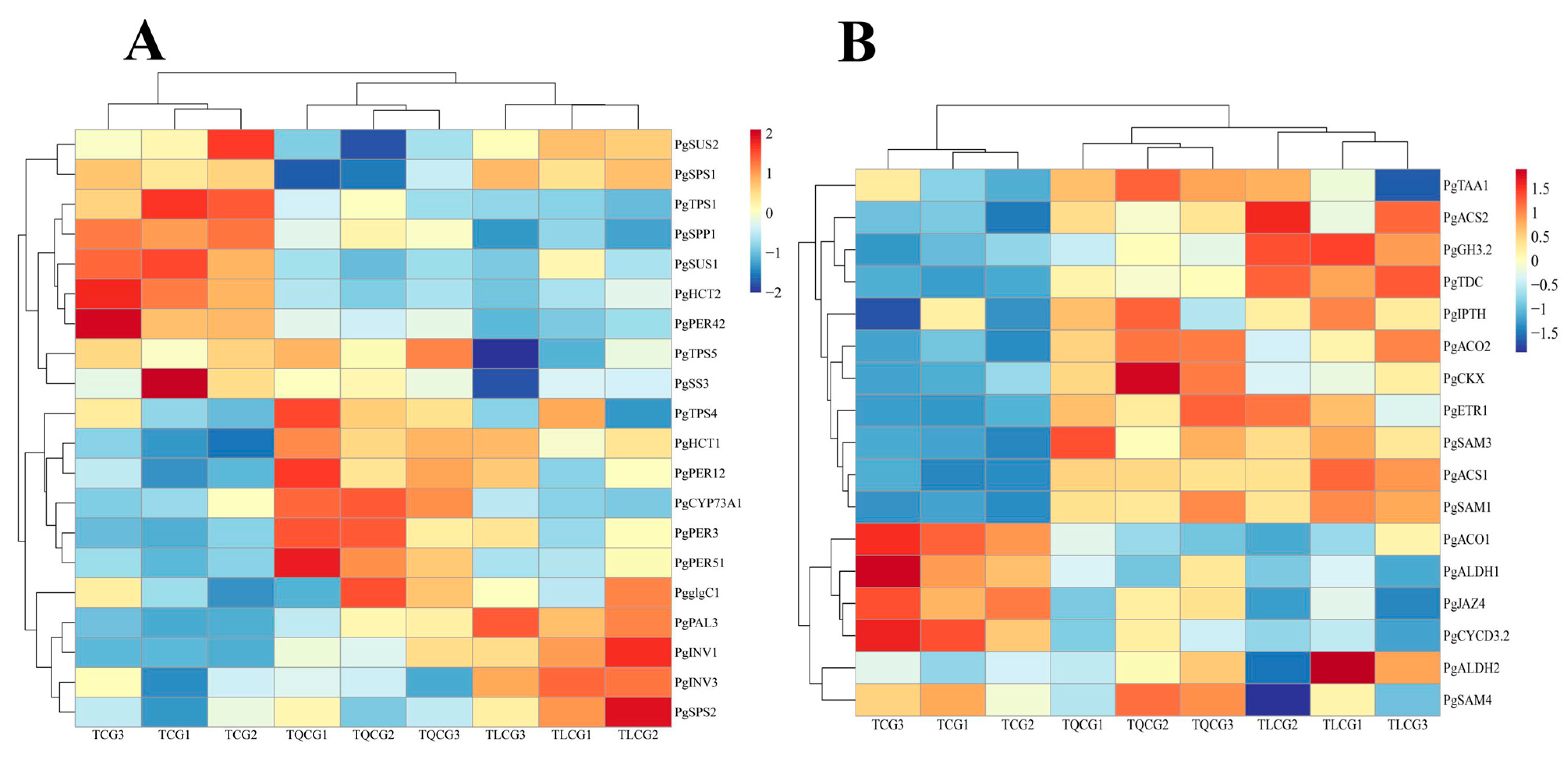 Agronomy 14 01897 g007 Agronomy 14 01897 g007