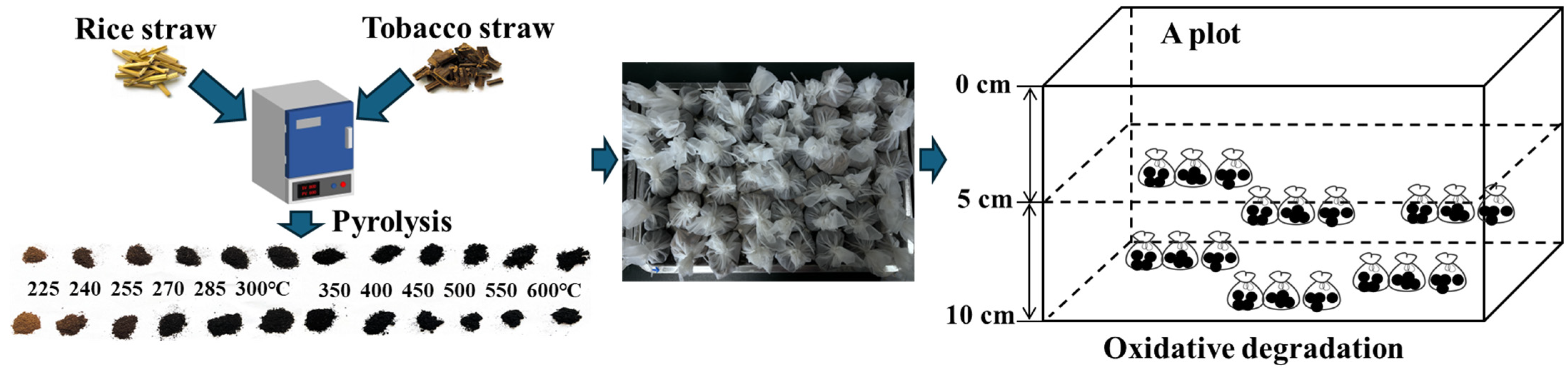 Agronomy 14 01898 g001