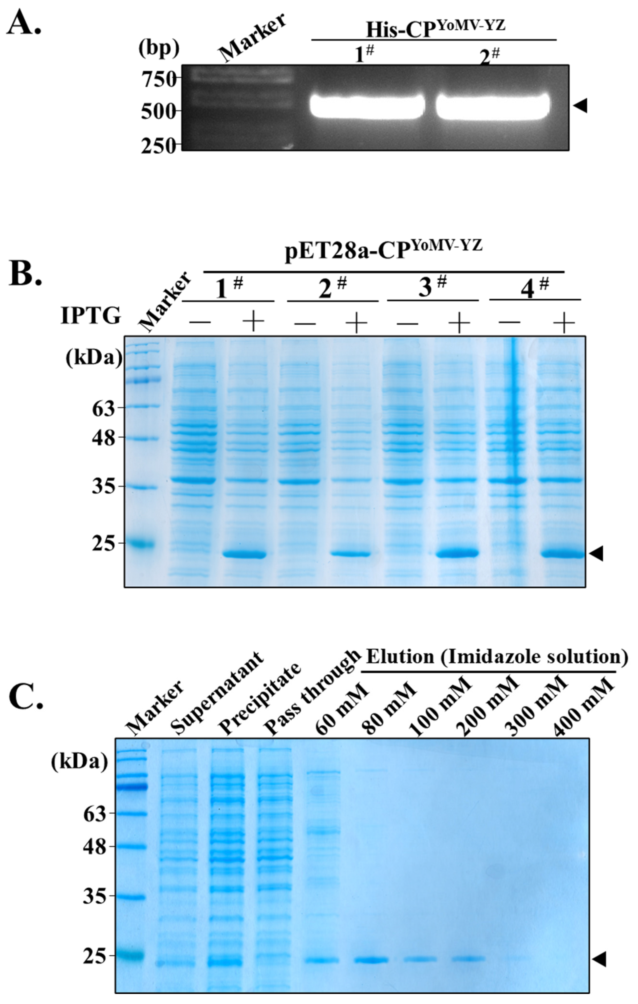 Agronomy 14 01900 g001