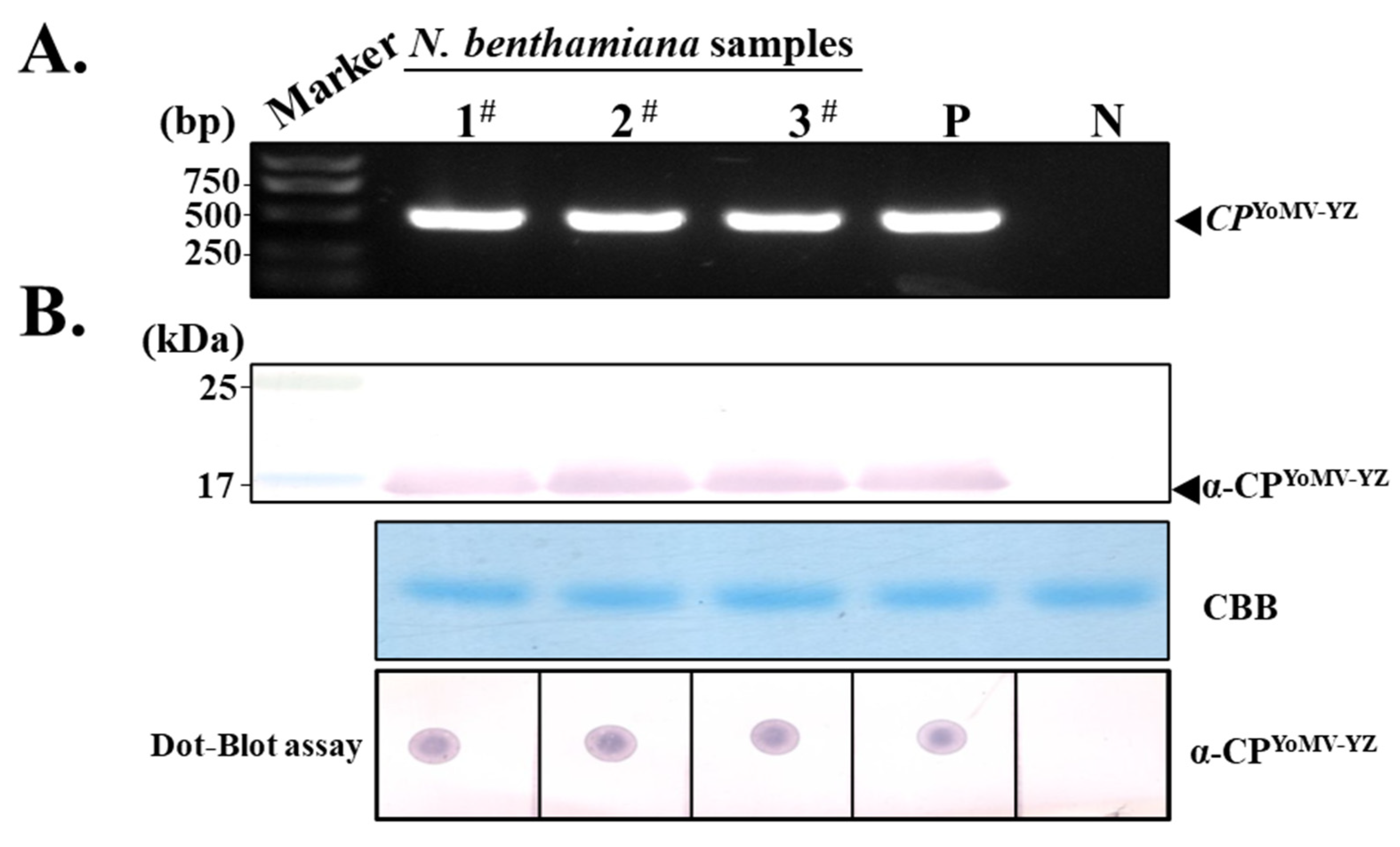Agronomy 14 01900 g003
