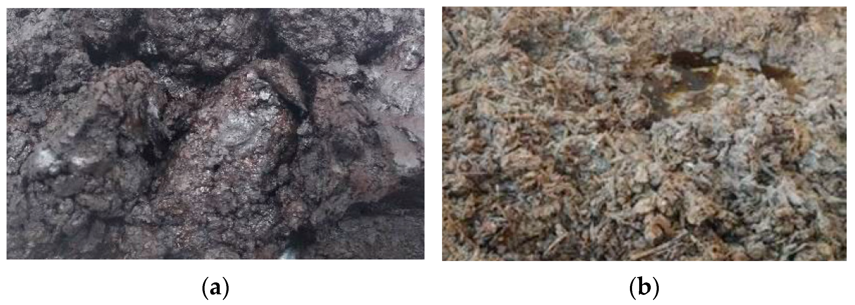 Agronomy 14 01919 g001