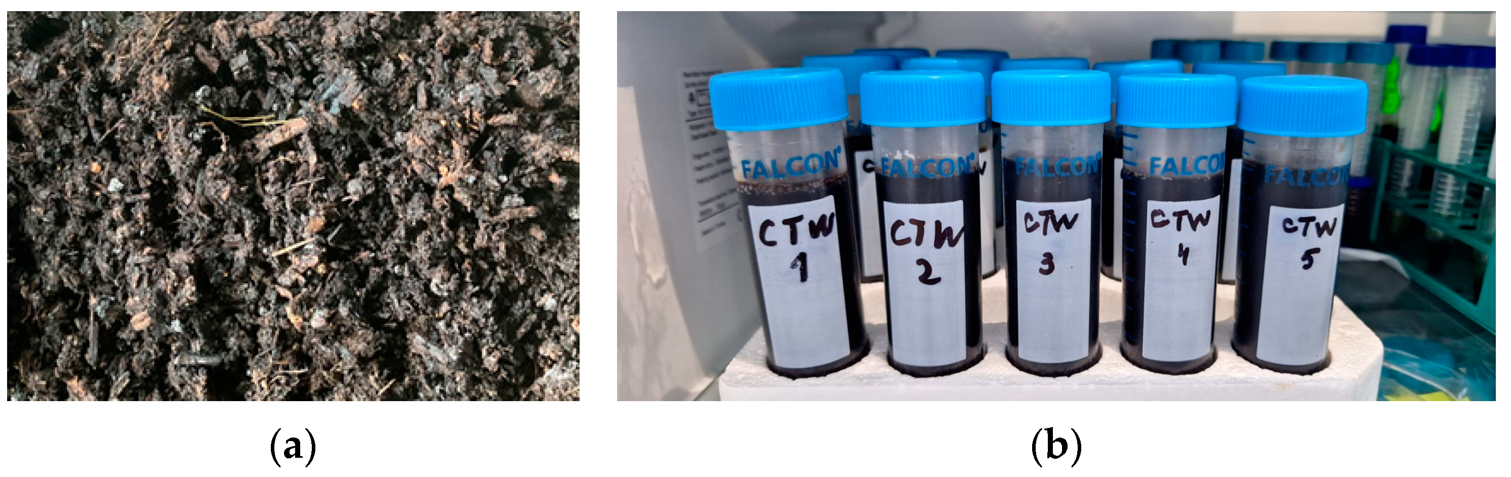 Agronomy 14 01919 g003